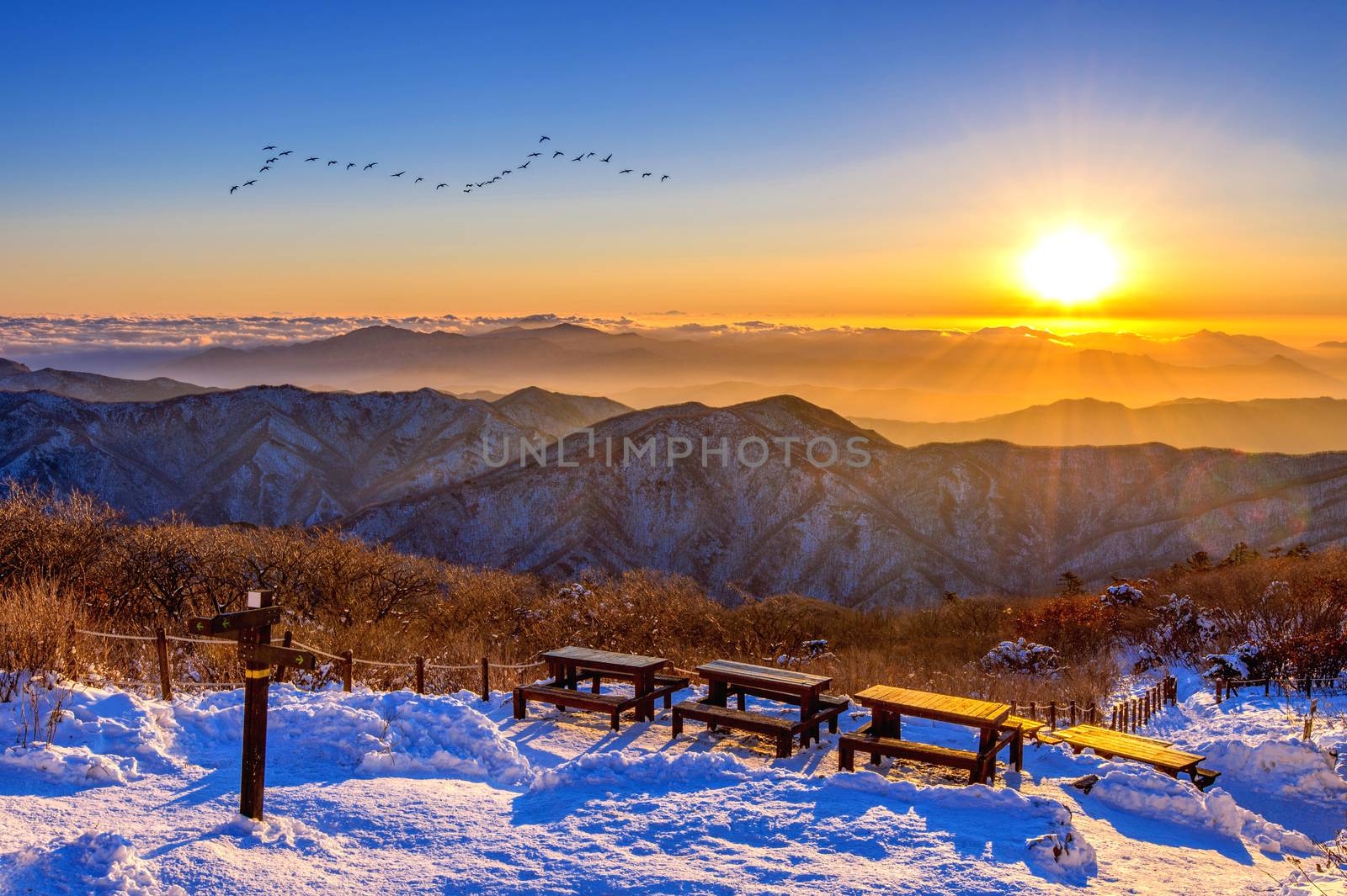 Sunrise with beautiful Lens Flare and silhouettes of birds at Deogyusan mountains in winter,South Korea.