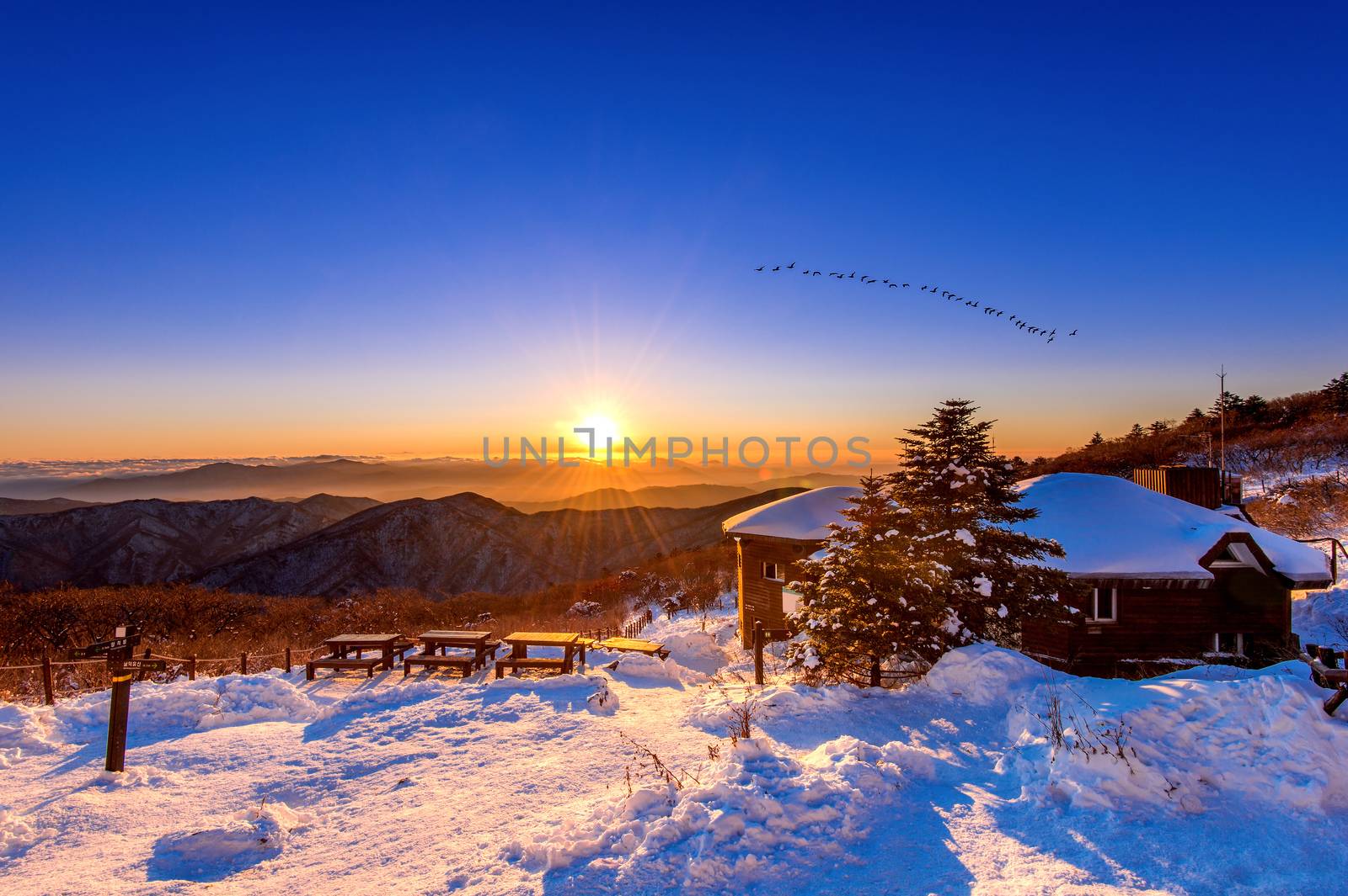 Sunrise with beautiful Lens Flare and silhouettes of birds at De by gutarphotoghaphy