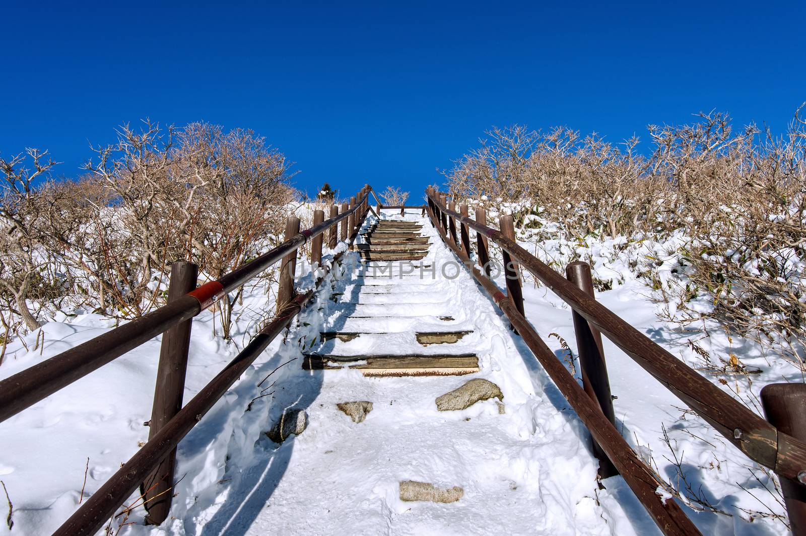 Wooden stairs on a hillside in winter. Deogyusan mountains in South Korea. by gutarphotoghaphy