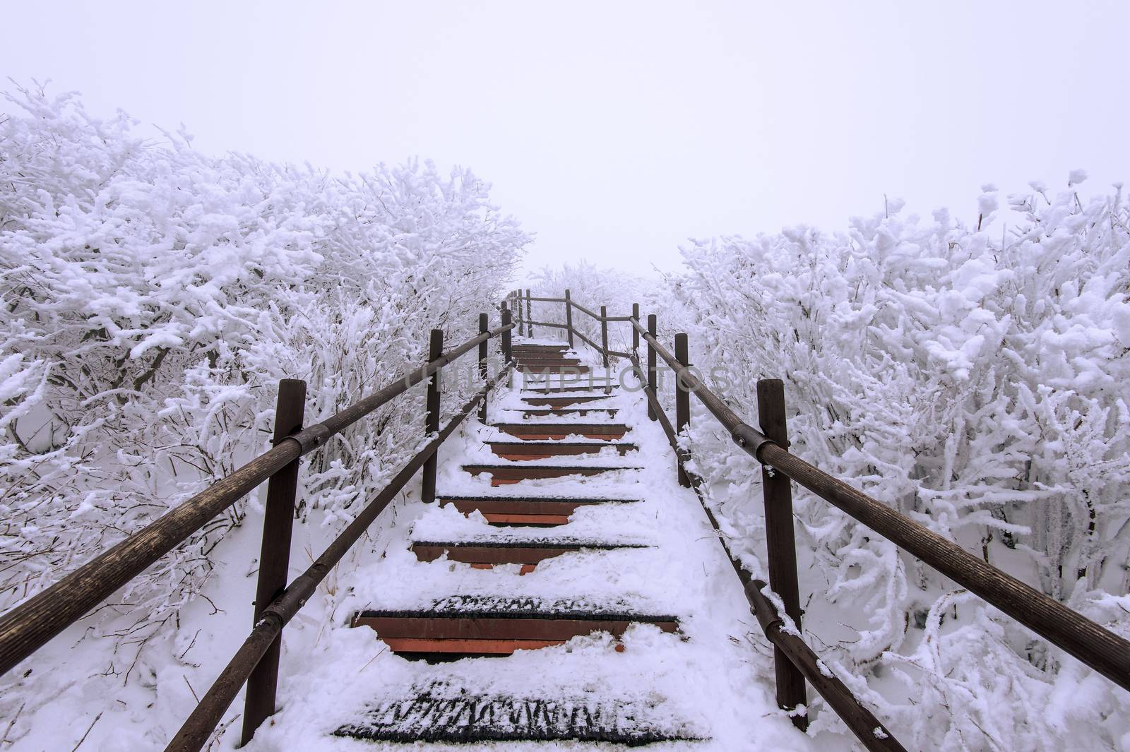 Wooden stairs on a hillside in winter. Deogyusan mountains in So by gutarphotoghaphy