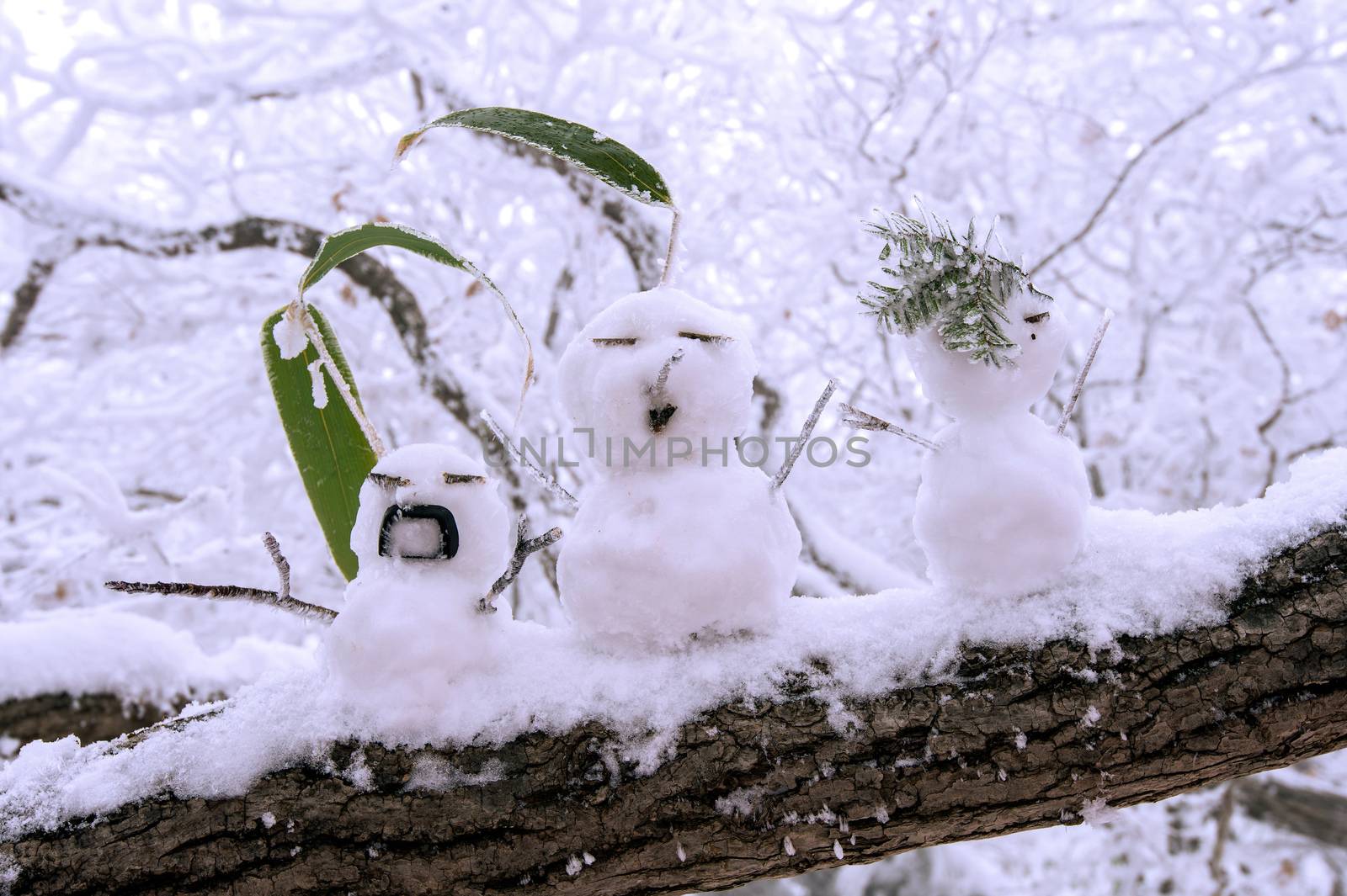 Snowman by gutarphotoghaphy