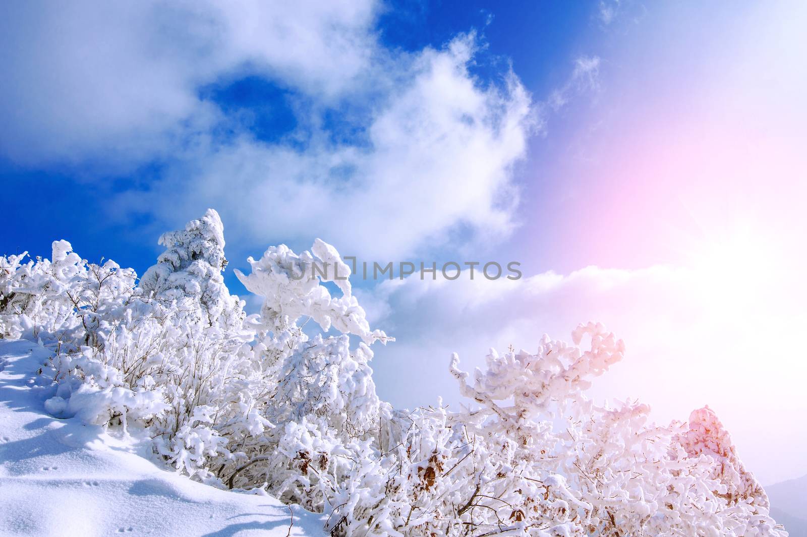 Deogyusan mountains is covered by snow and morning fog in winter, South Korea.