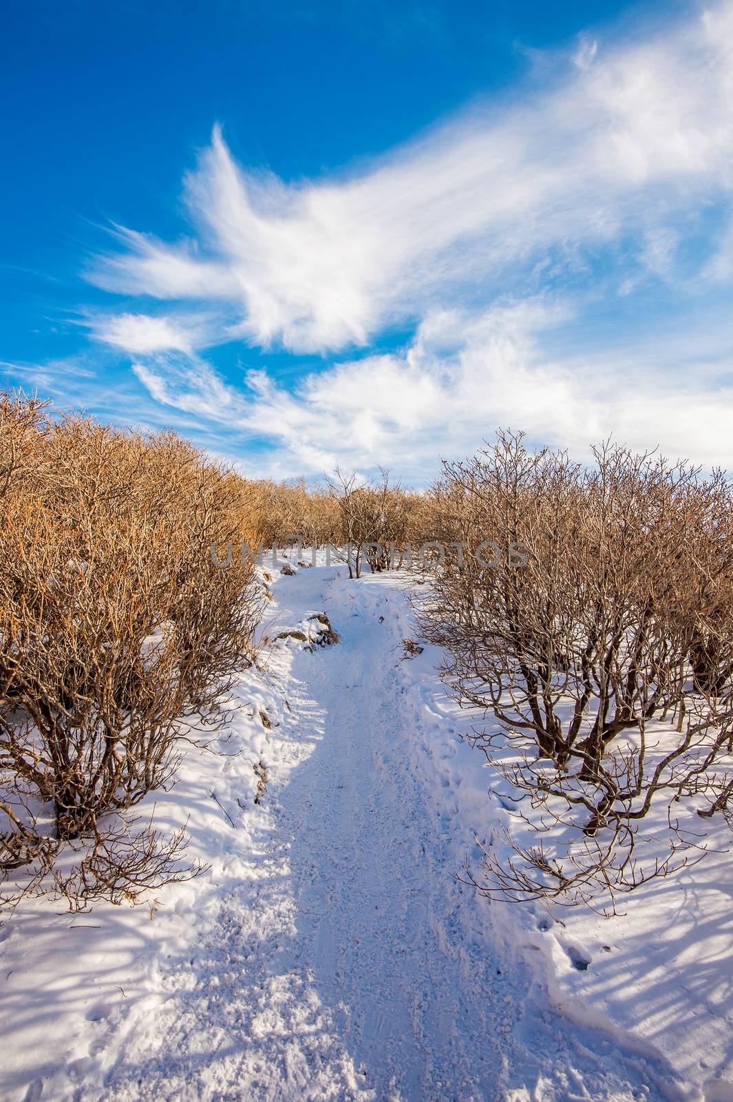 Deogyusan mountains in winter, South Korea. by gutarphotoghaphy