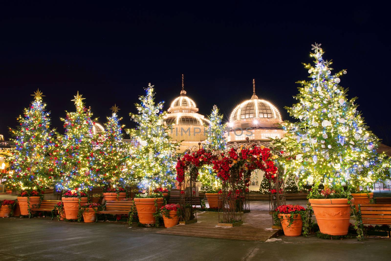 SEOUL, KOREA - DECEMBER 21,2014: Christmas tree lights at ninght in Everland. Photo taken on December 21, 2014 in Seoul, South Korea.