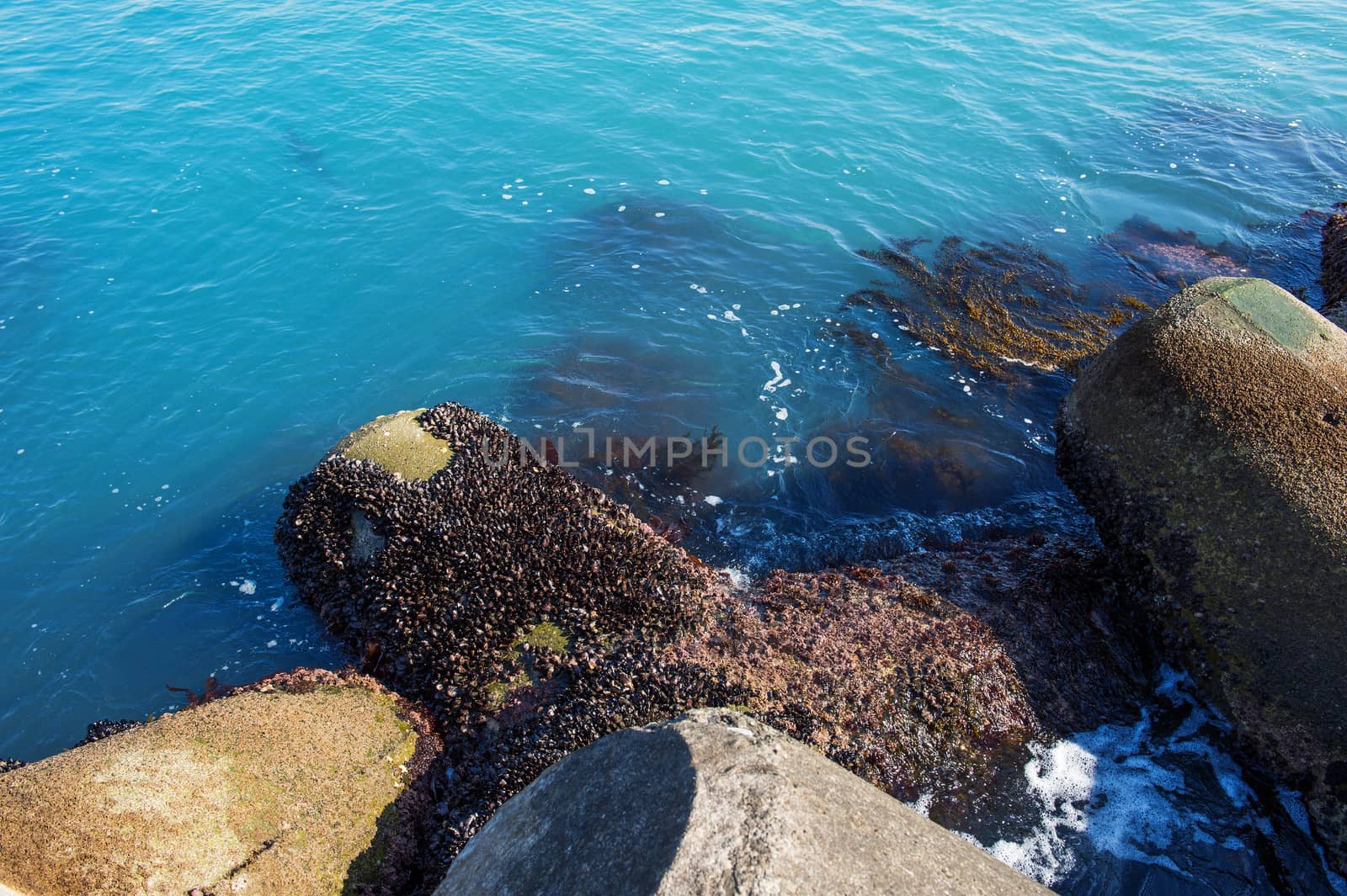 seashore in haeundae sea,Korea