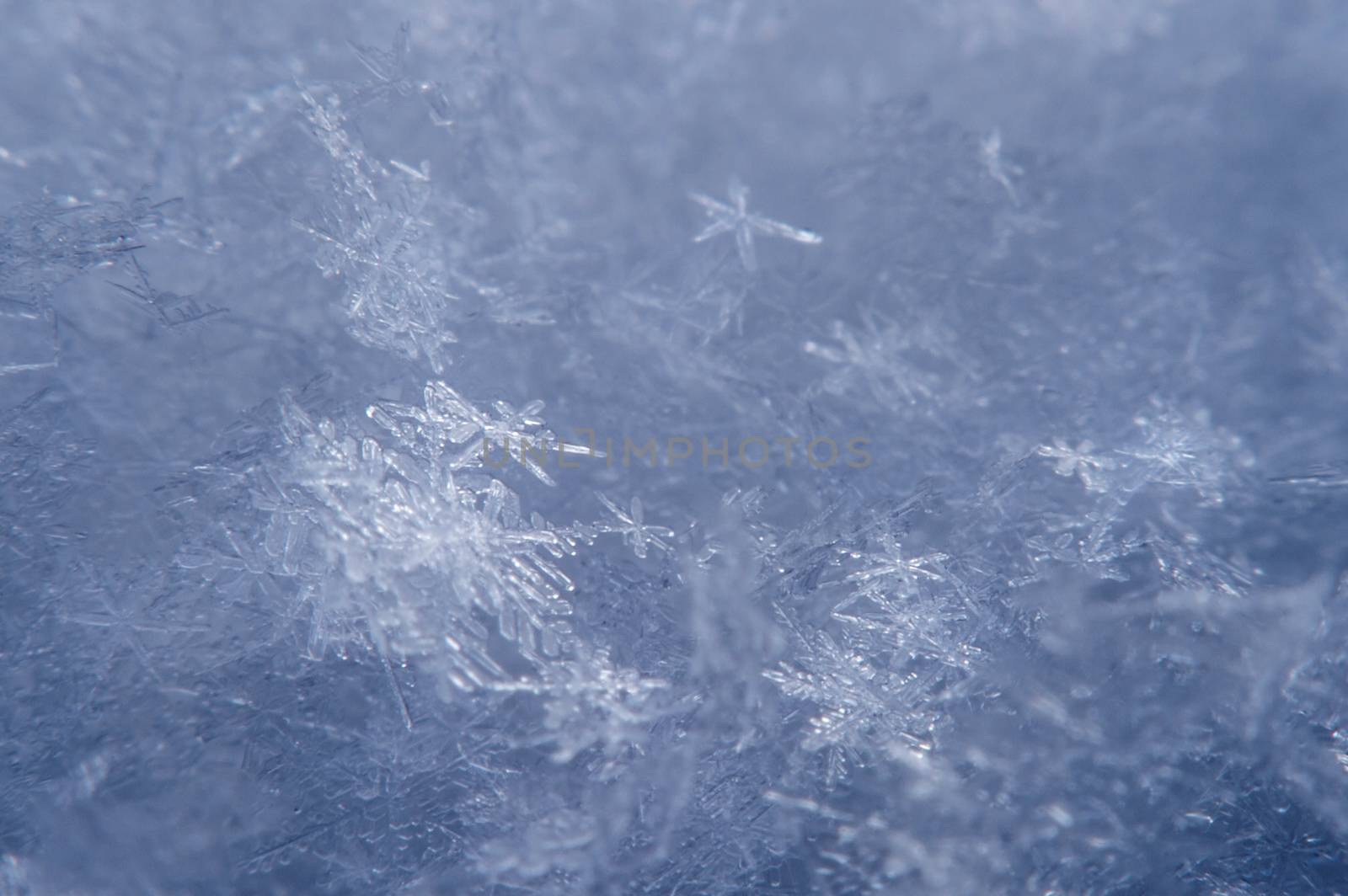 Macro of a snowflake in natural surroundings.