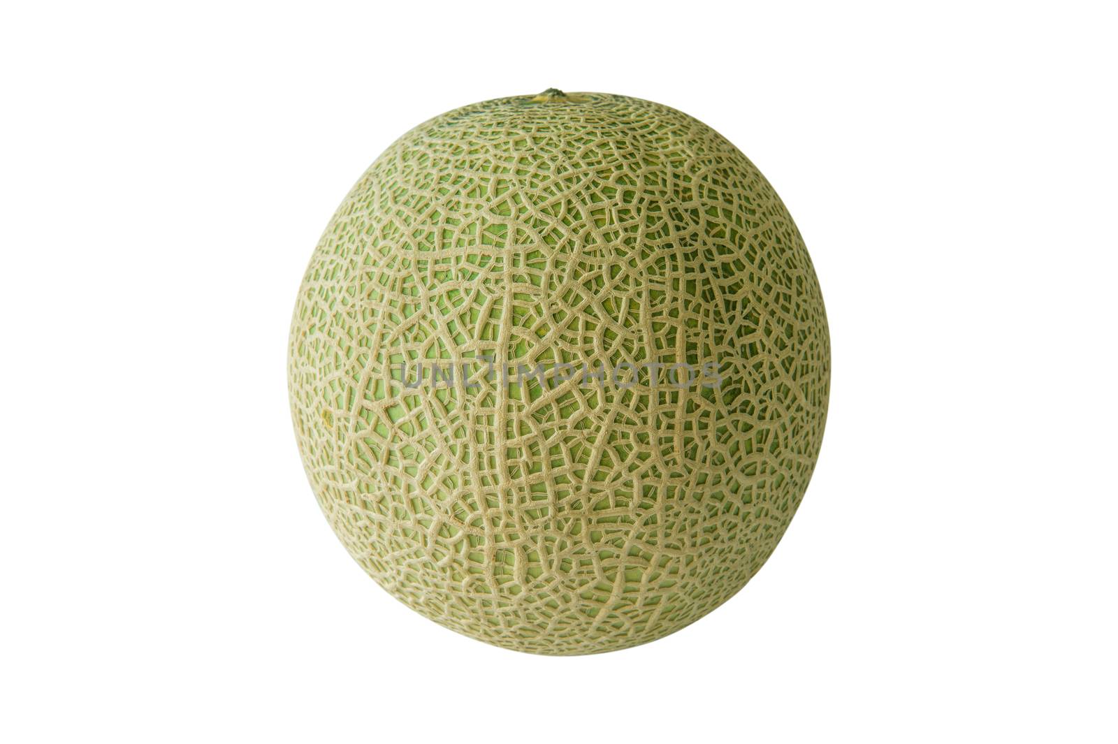 cantaloupe melon isolated on white background.