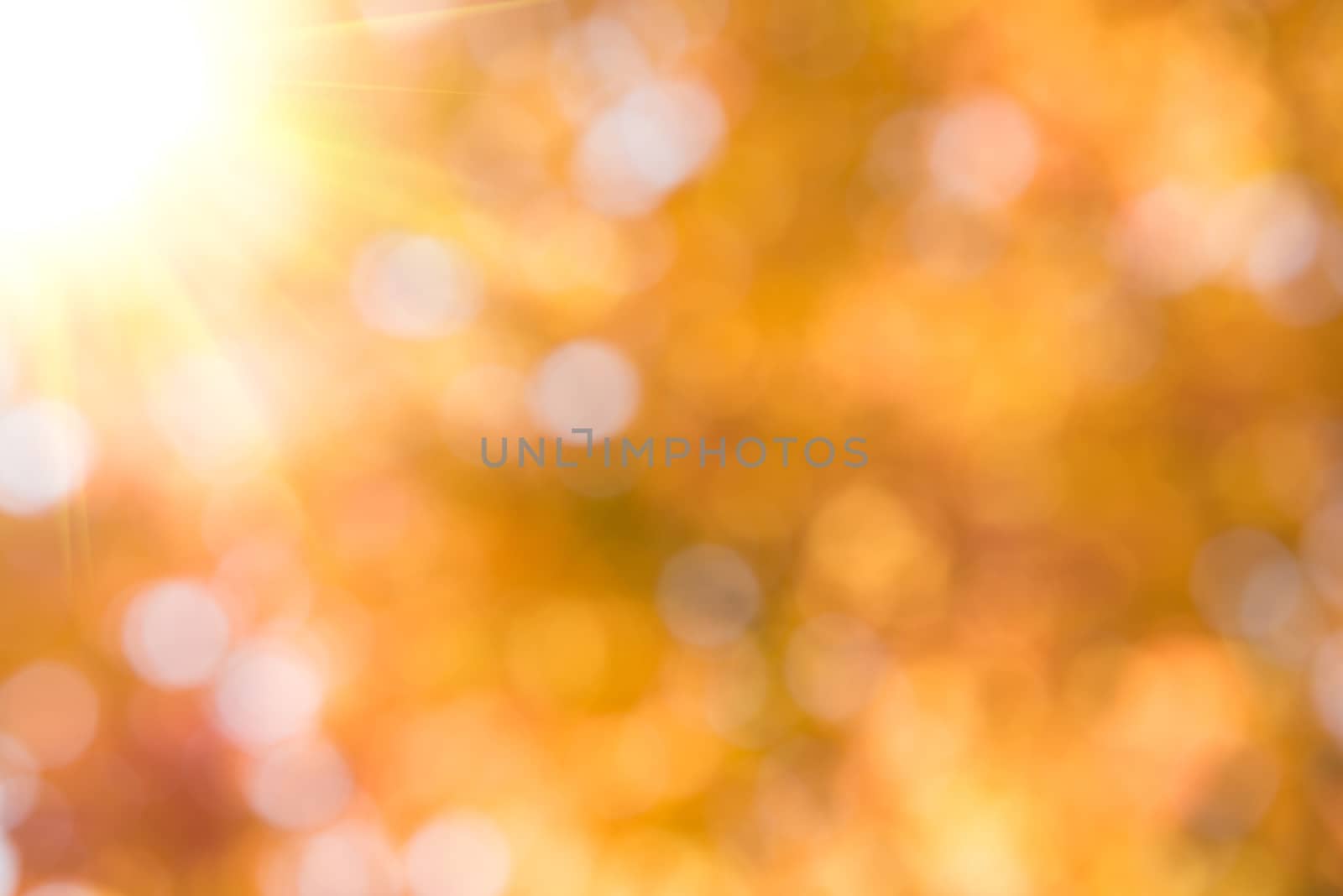 Abstract soft blurred bokeh Yellow background. by gutarphotoghaphy