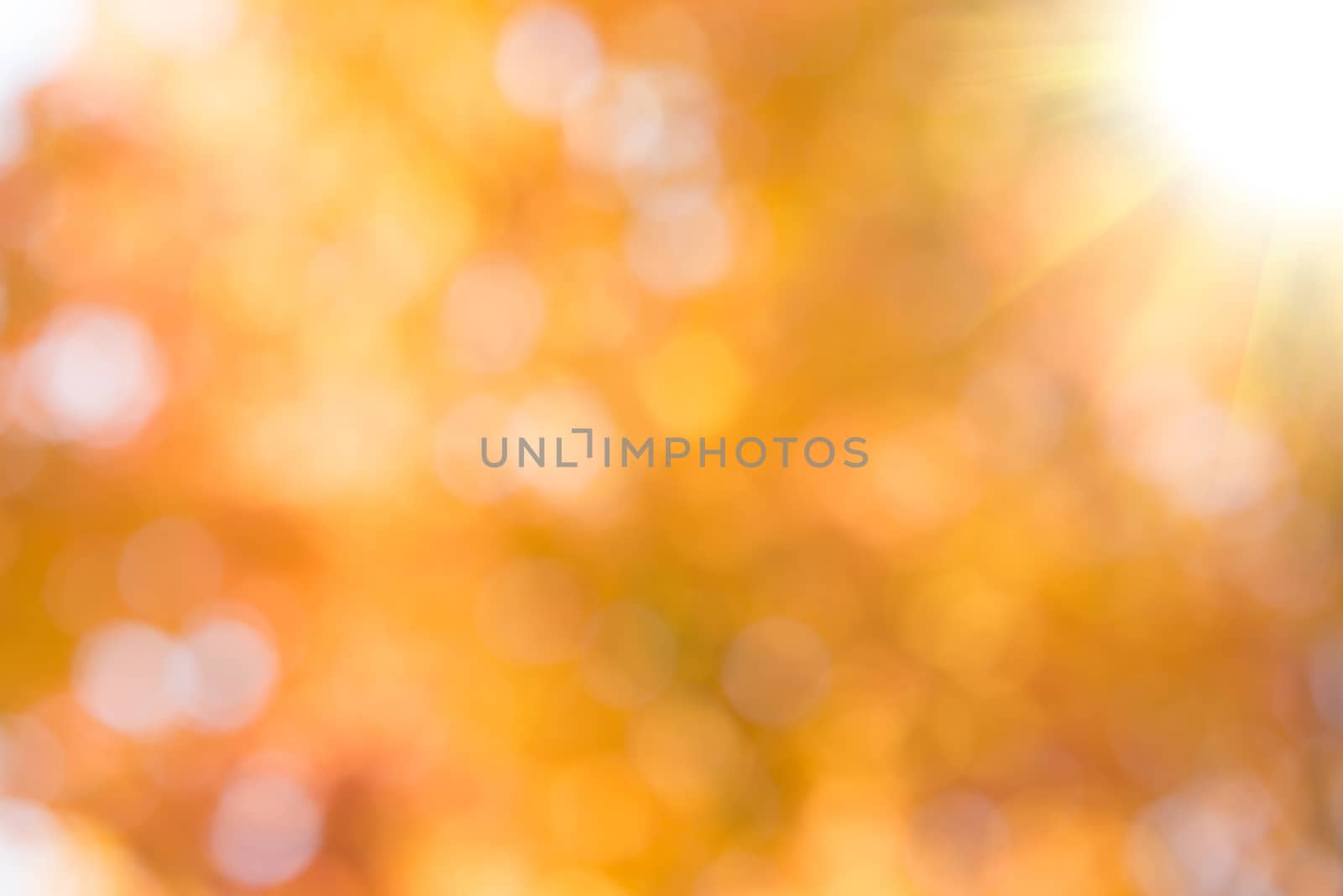 Abstract soft blurred bokeh Yellow background. by gutarphotoghaphy