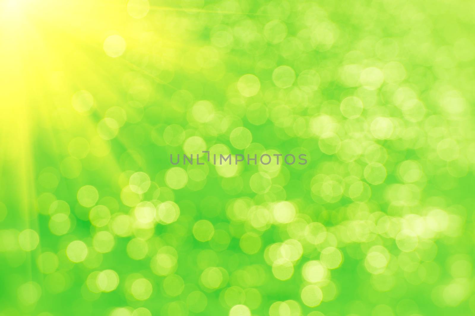 Abstract green bokeh and sunligt background. by gutarphotoghaphy