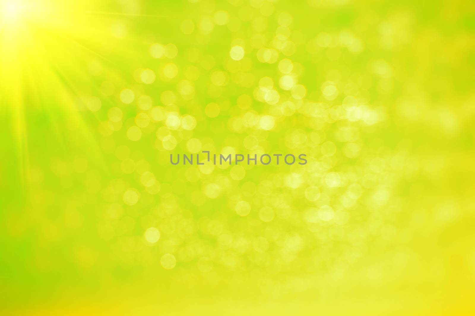 Abstract green bokeh and blurred background. by gutarphotoghaphy