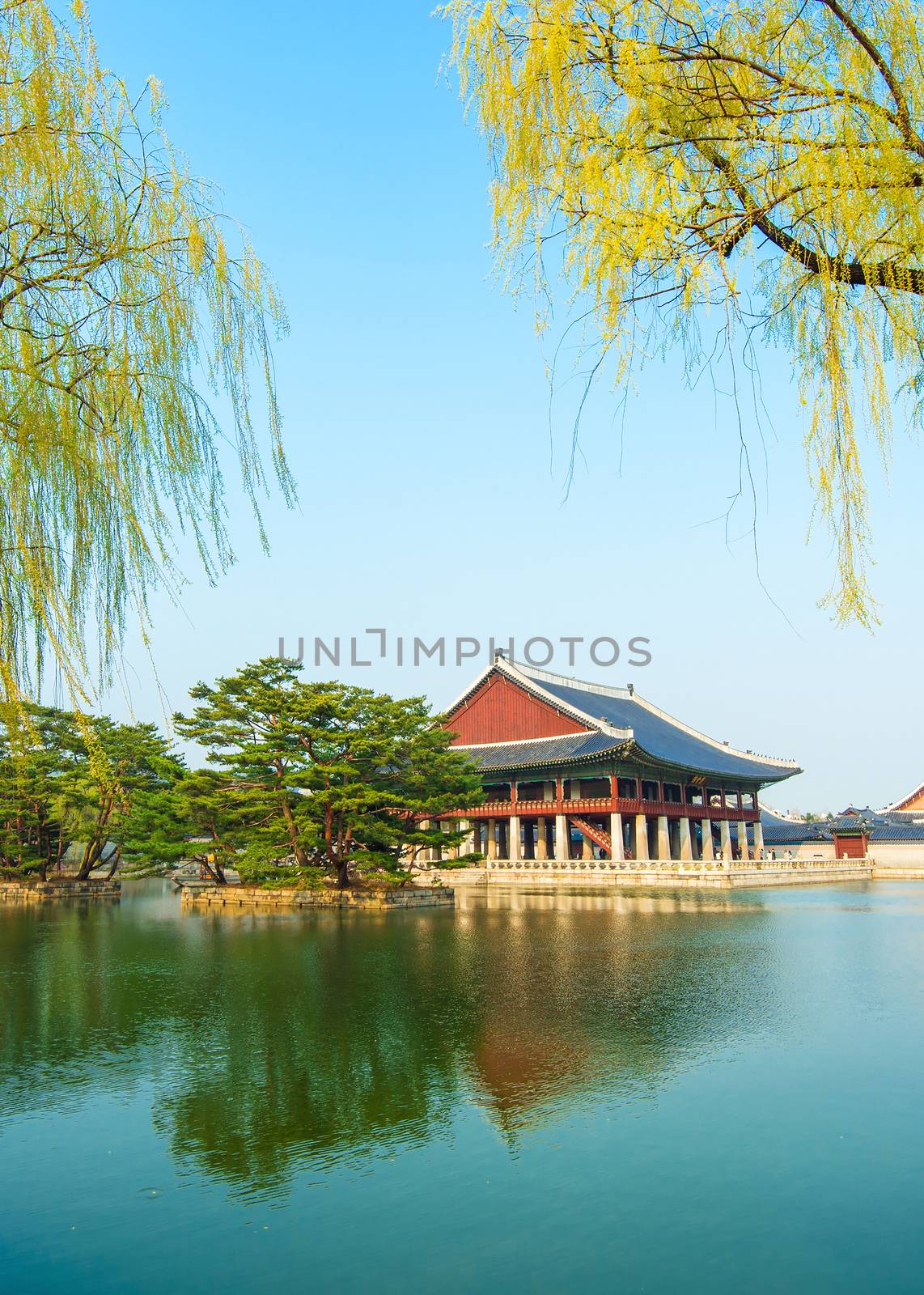 Gyeongbokgung Palace in spring,Korea.