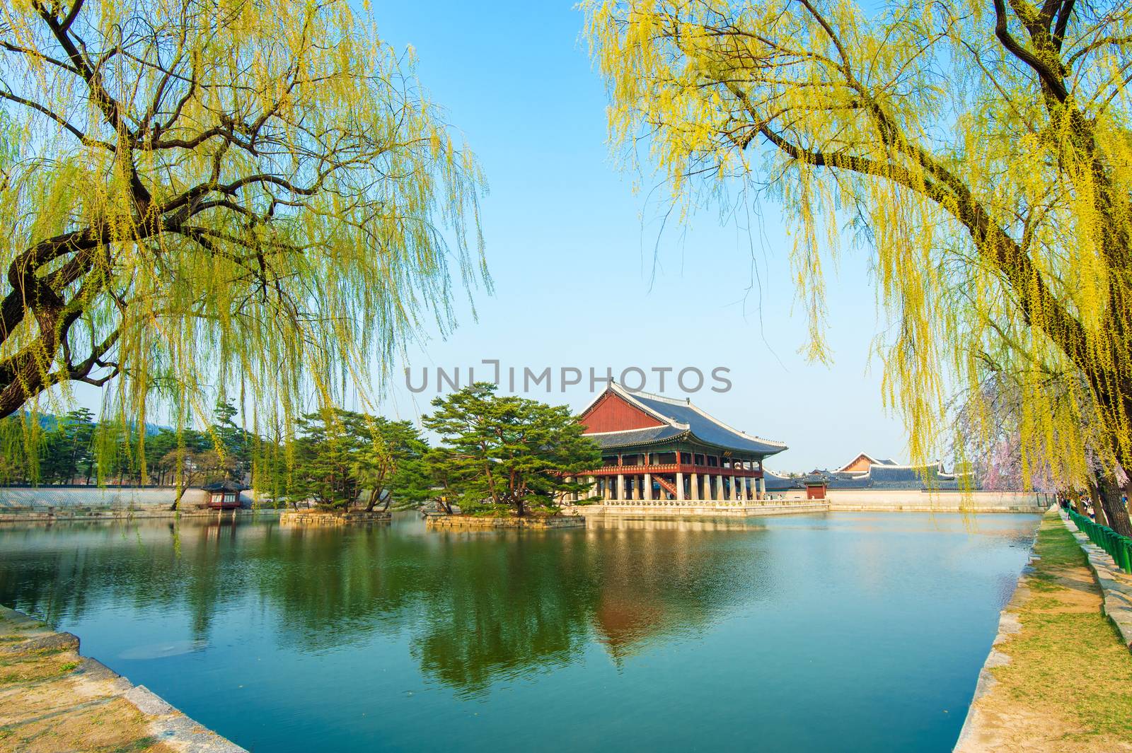 Gyeongbokgung Palace in spring,Korea. by gutarphotoghaphy