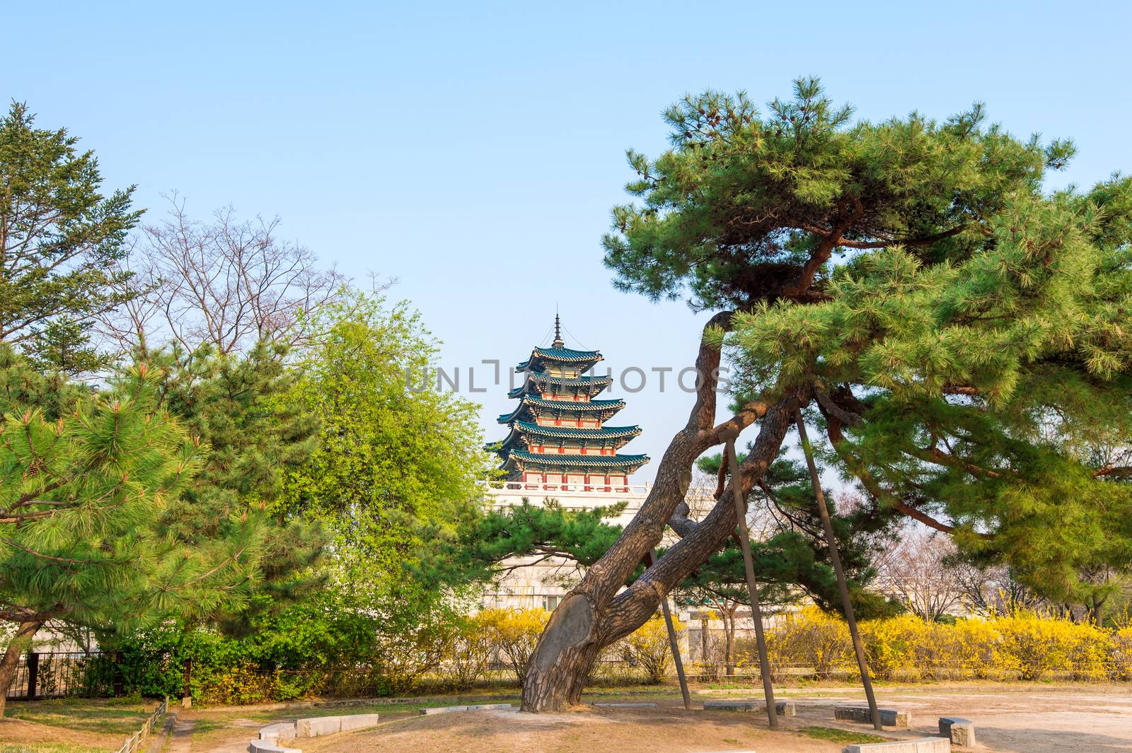 Gyeongbokgung palace in Seoul, Korea