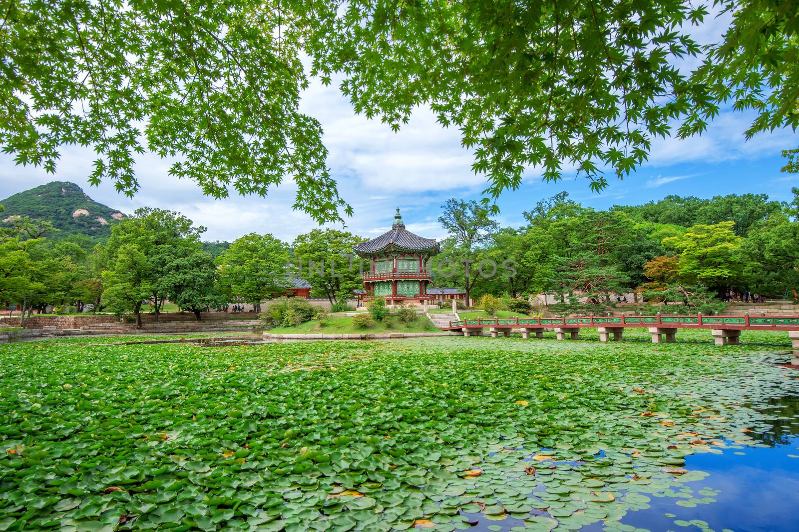 Gyeongbokgung Palace in spring,South Korea. by gutarphotoghaphy