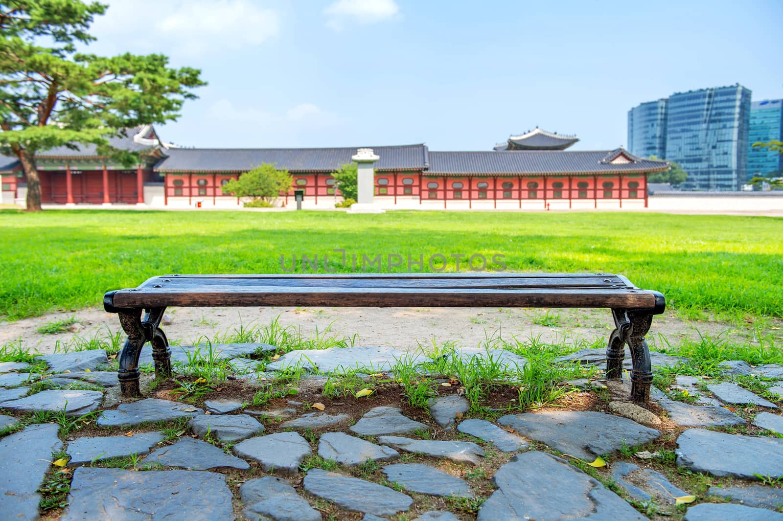 wooden bench at a park. by gutarphotoghaphy