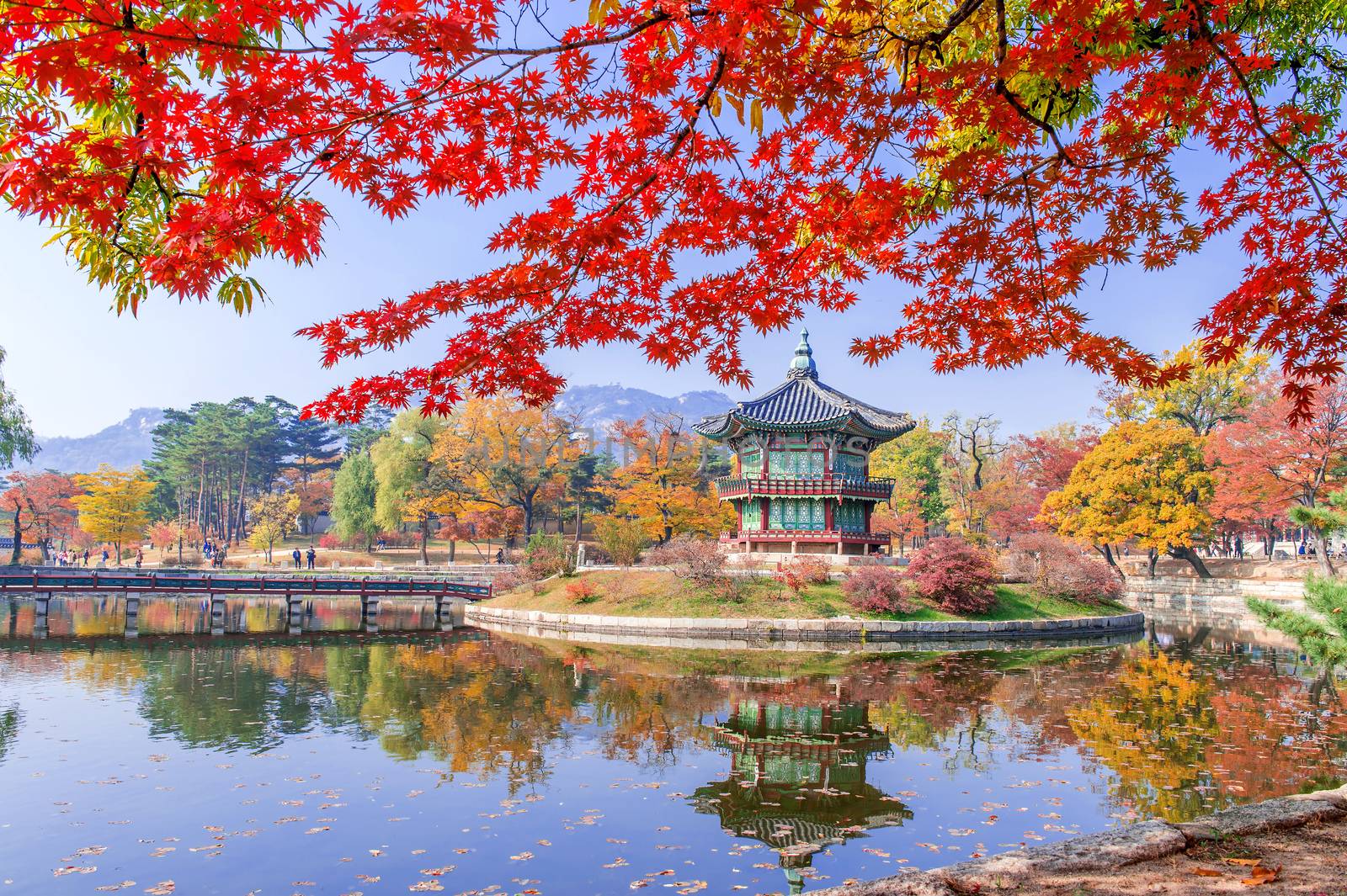 Gyeongbukgung and Maple tree in autumn in korea. by gutarphotoghaphy