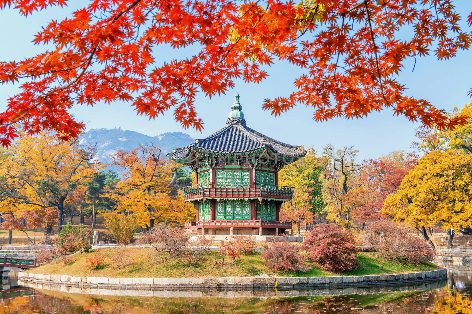 Gyeongbukgung and Maple tree in autumn in korea.