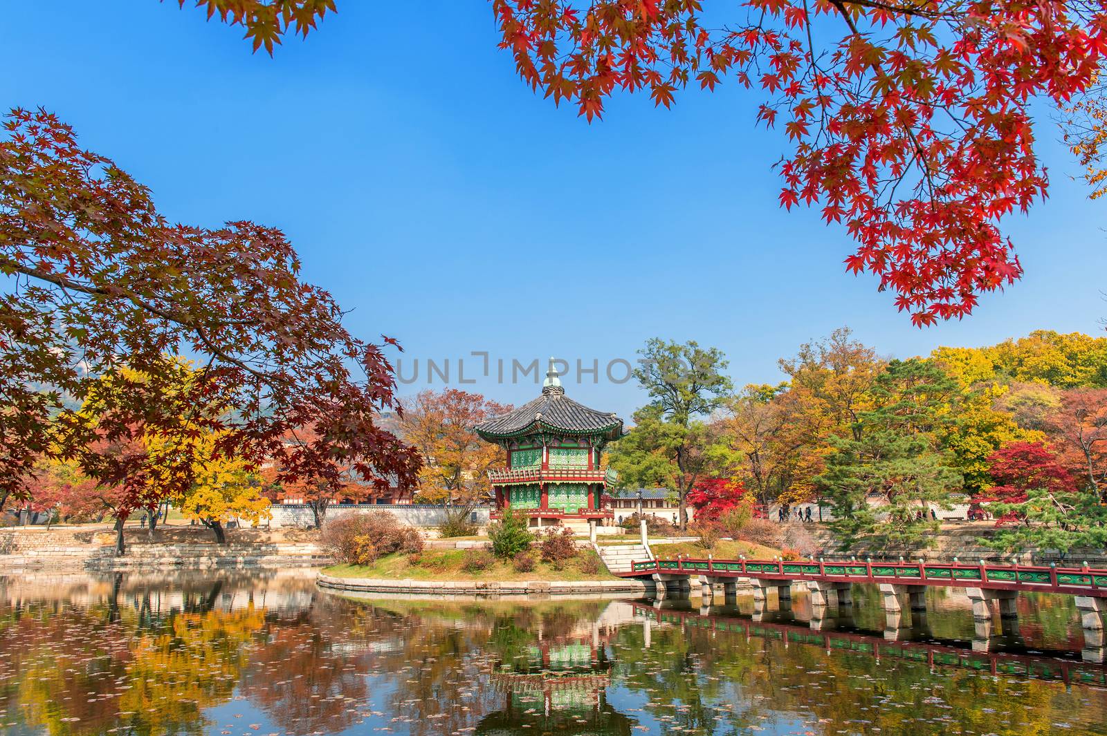 Gyeongbokgung Palace in autumn,South Korea. by gutarphotoghaphy