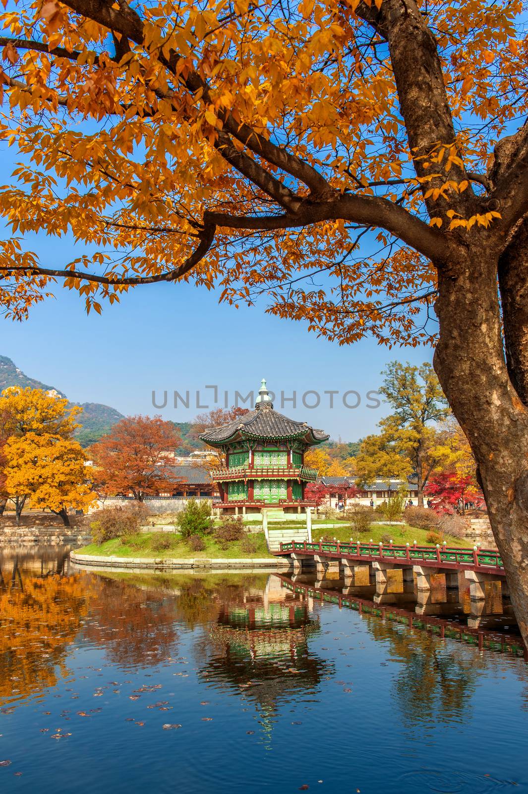 Gyeongbokgung Palace in autumn,South Korea.