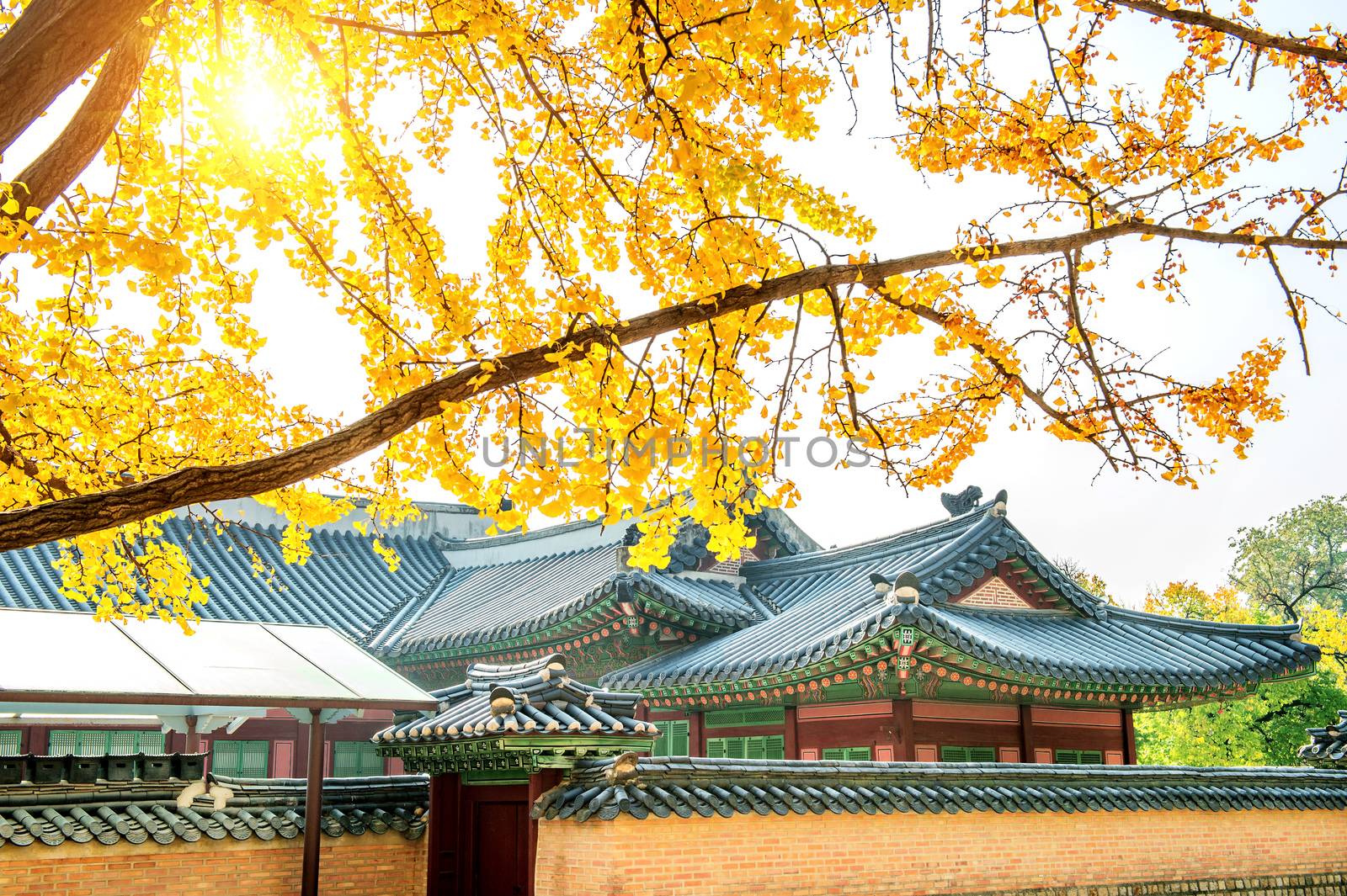 Autumn in Gyeongbukgung Palace,Korea.