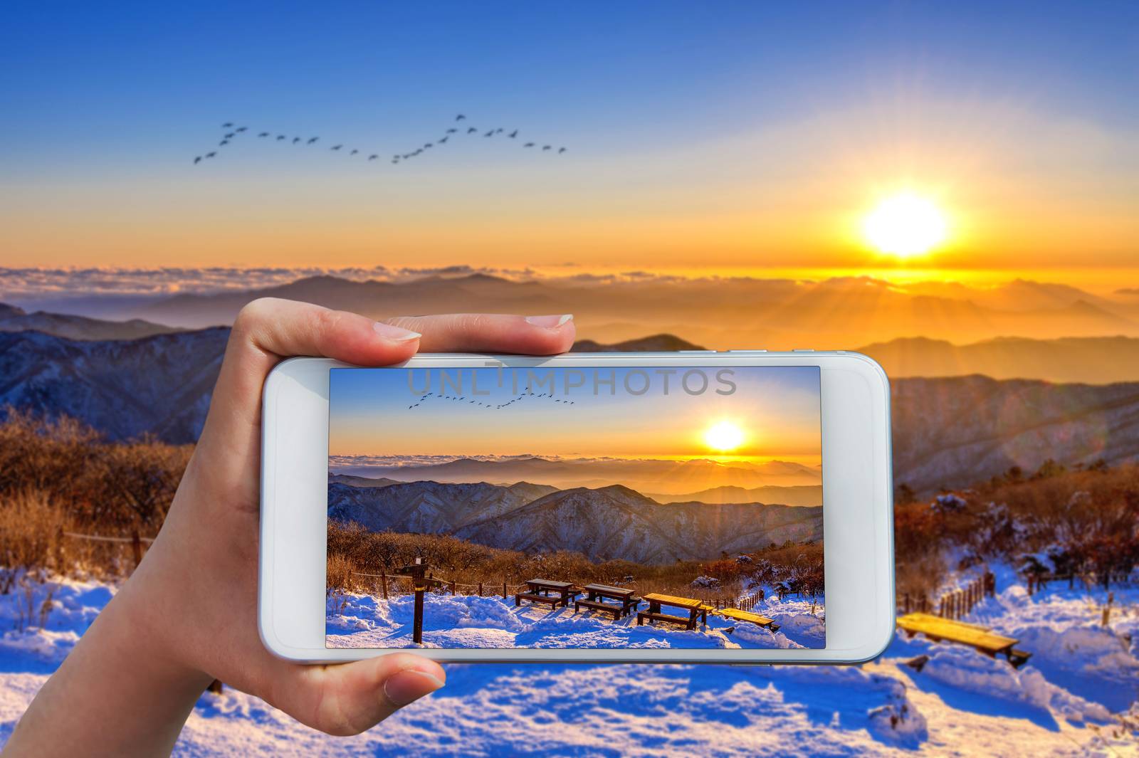 Hand holding smart phone take a photo at Sunrise on Deogyusan mountains in winter.