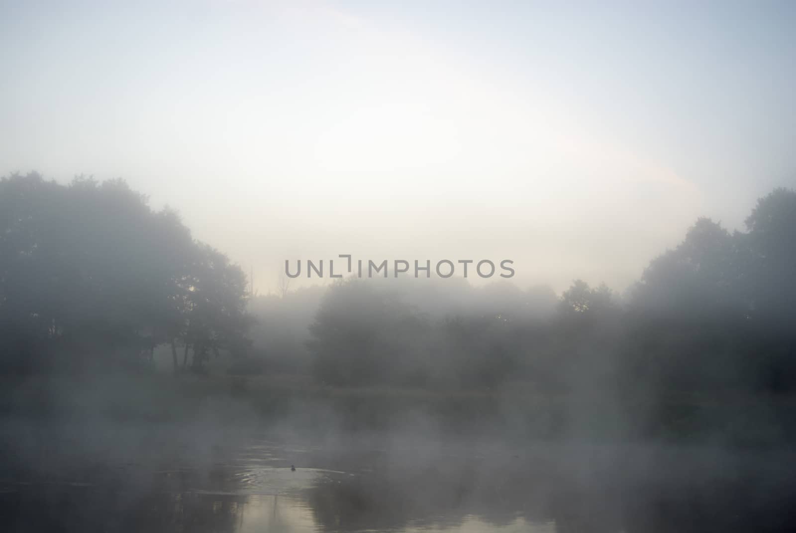 landscape with natural fogy river, nature series