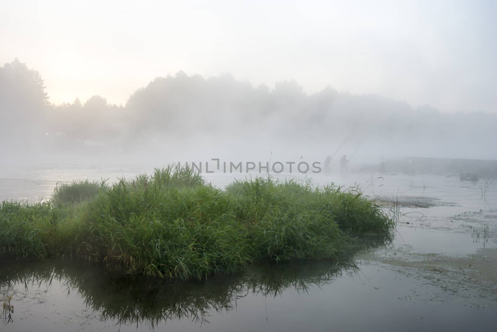 landscape with natural fogy river, nature series