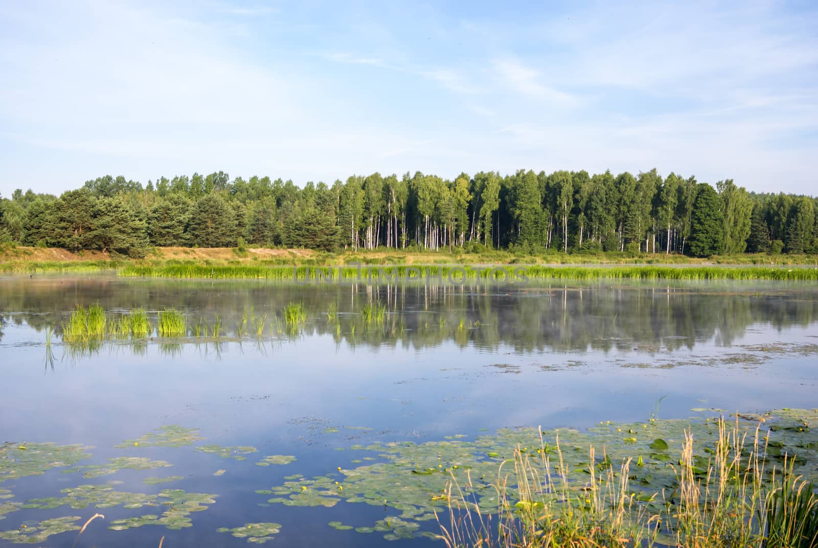 landscape with natural fogy river, nature series