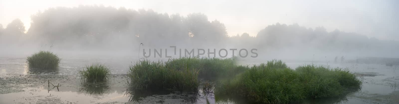 landscape with natural fogy river, nature series