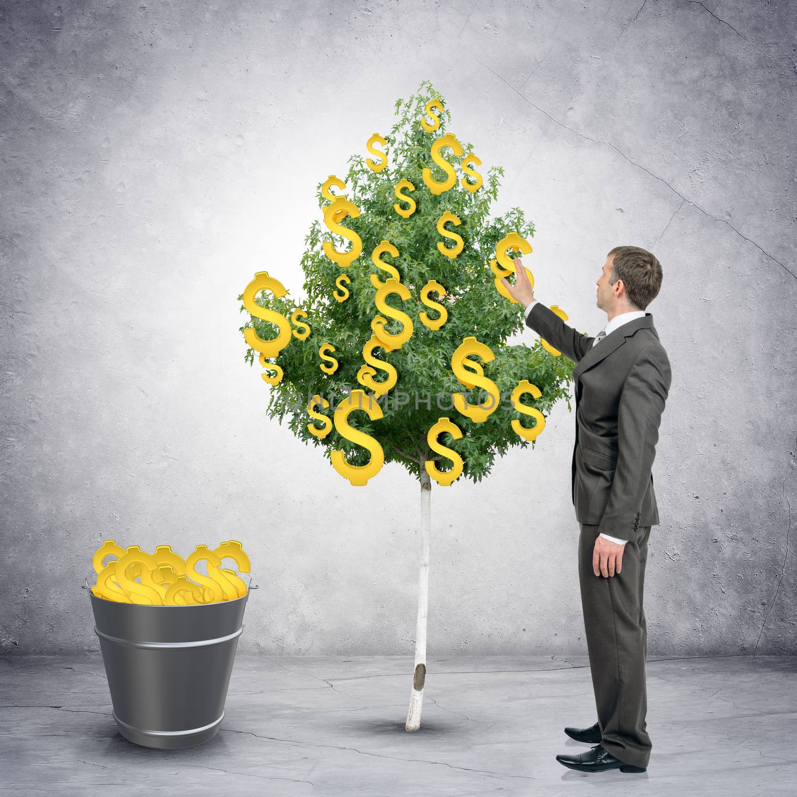 Businessman collecting dollar signs from tree with bucket full of dollars, easy money concept