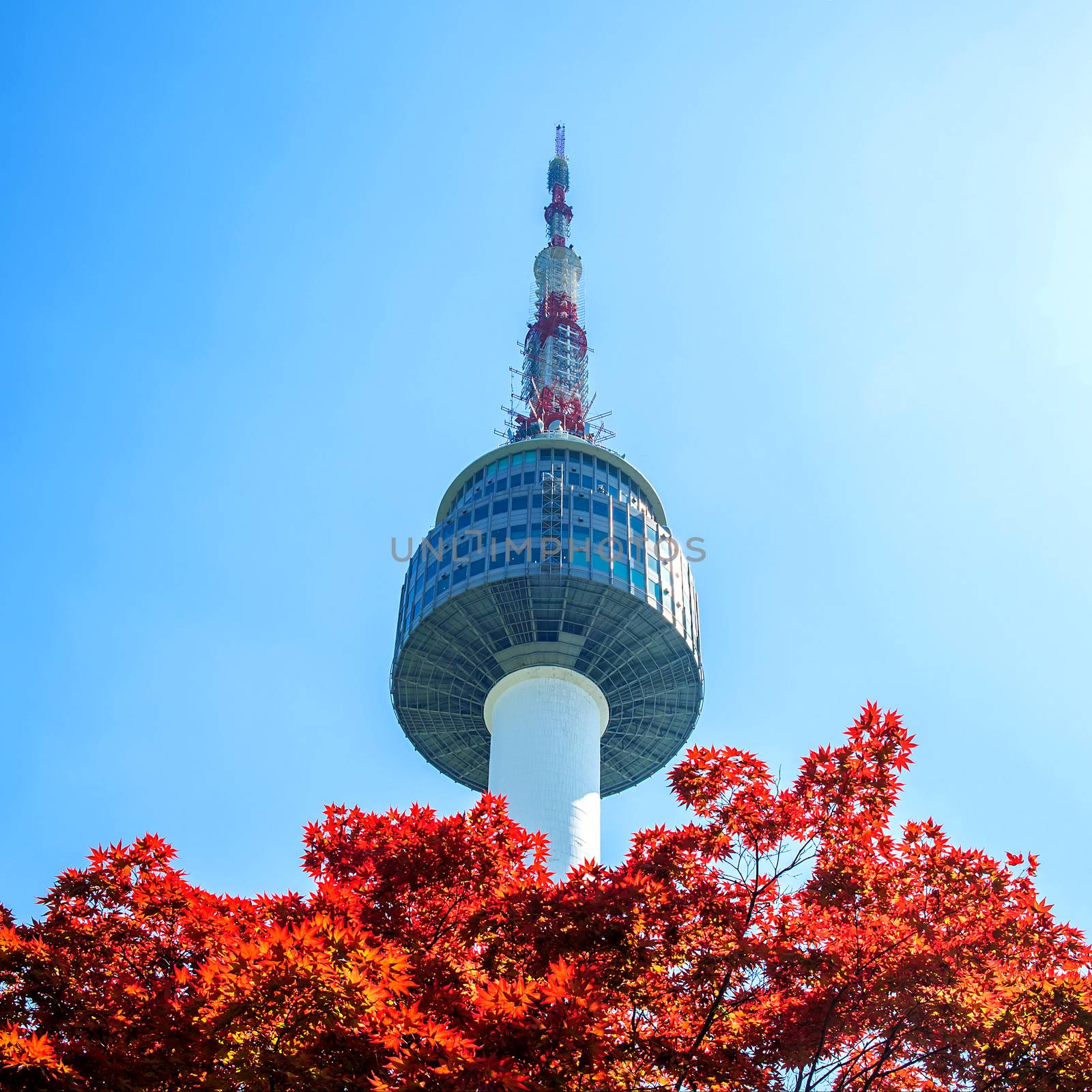 Seoul Tower and red autumn maple leaves at Namsan mountain in So by gutarphotoghaphy
