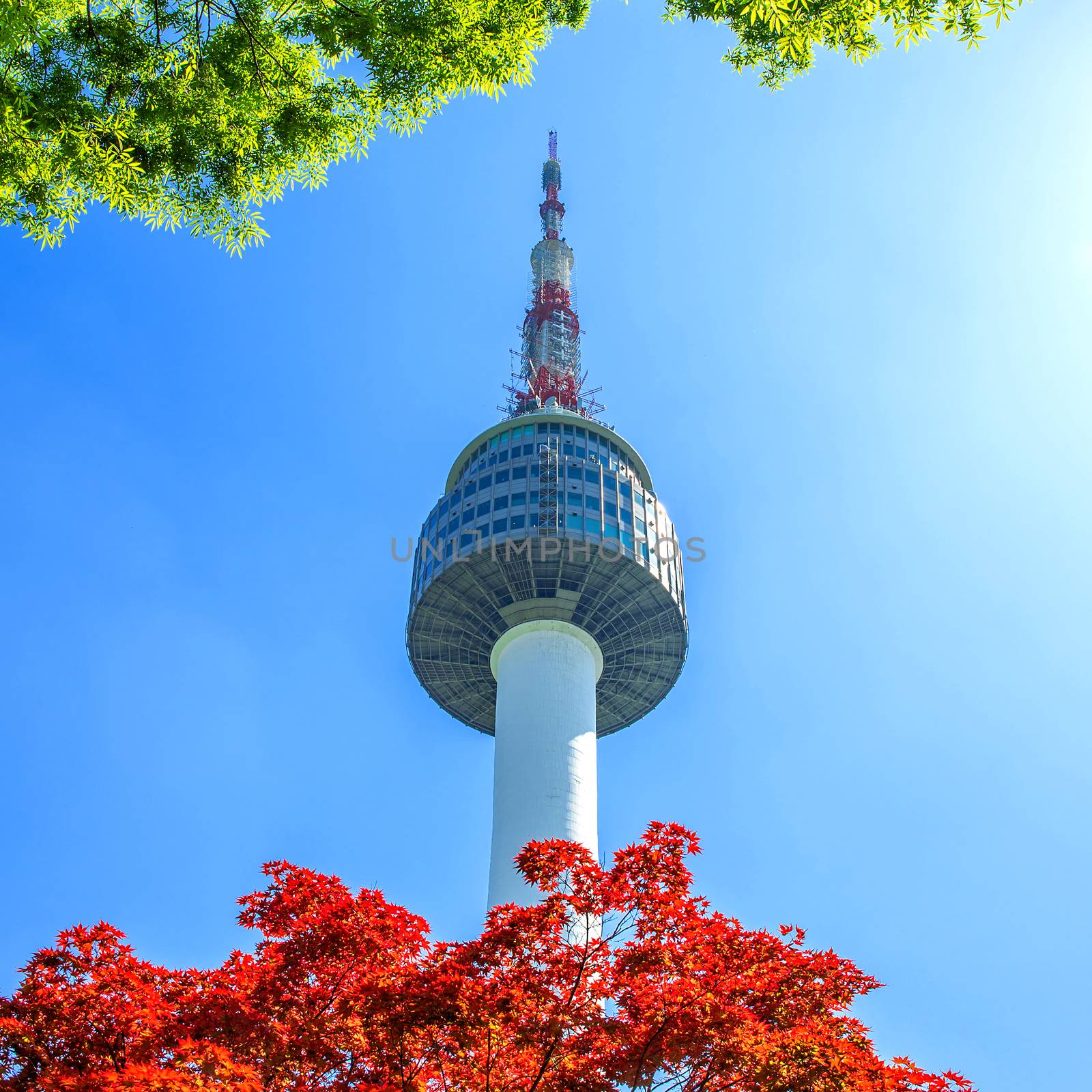 Seoul Tower and red autumn maple leaves at Namsan mountain in South Korea.