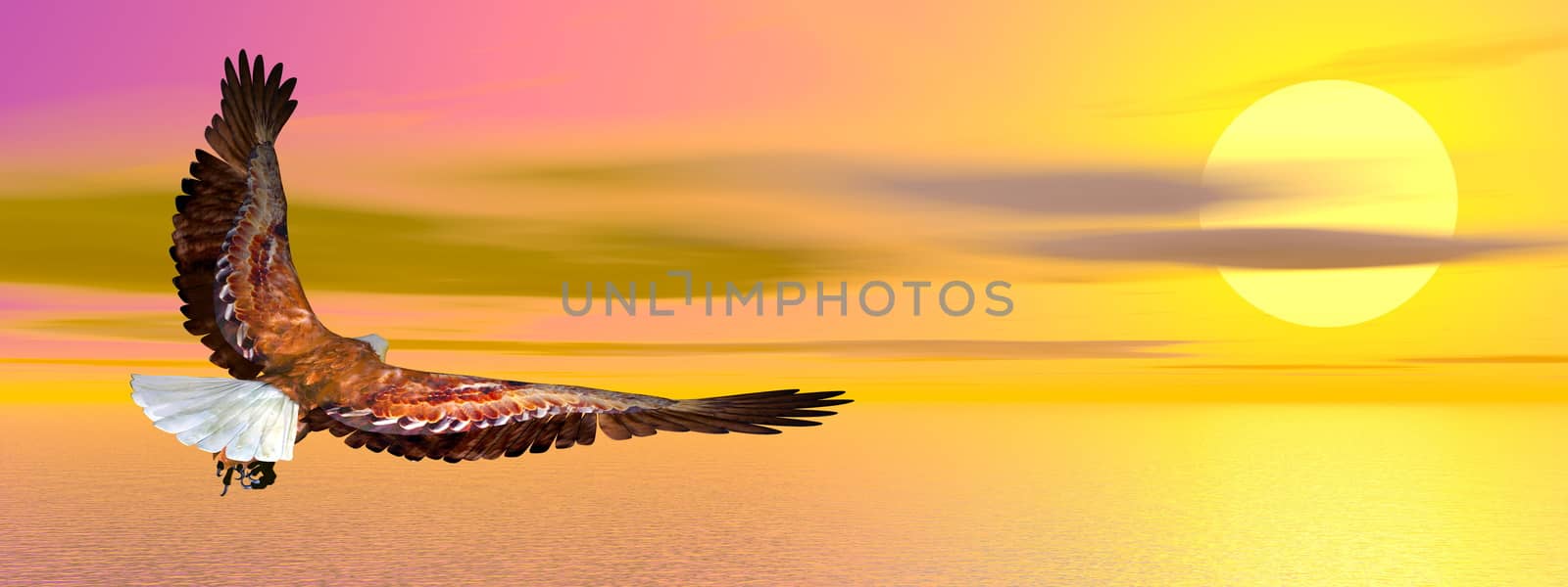 Eagle flying upon ocean by sunset - 3D render