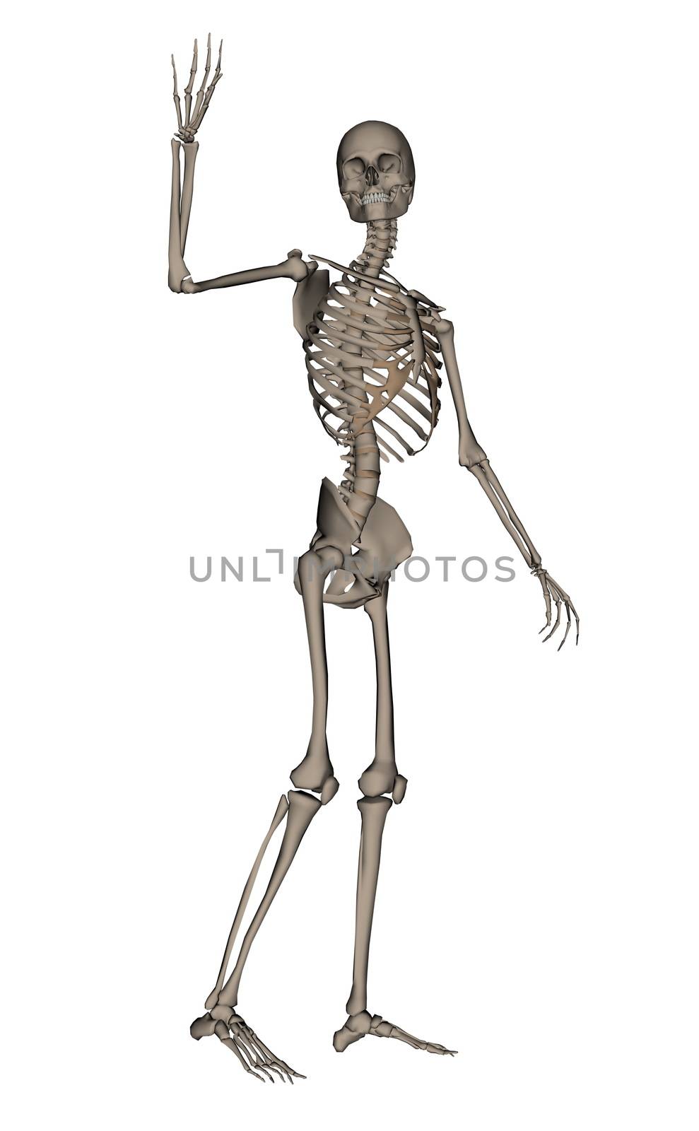 Human skeleton saying goodbye - 3D render by Elenaphotos21