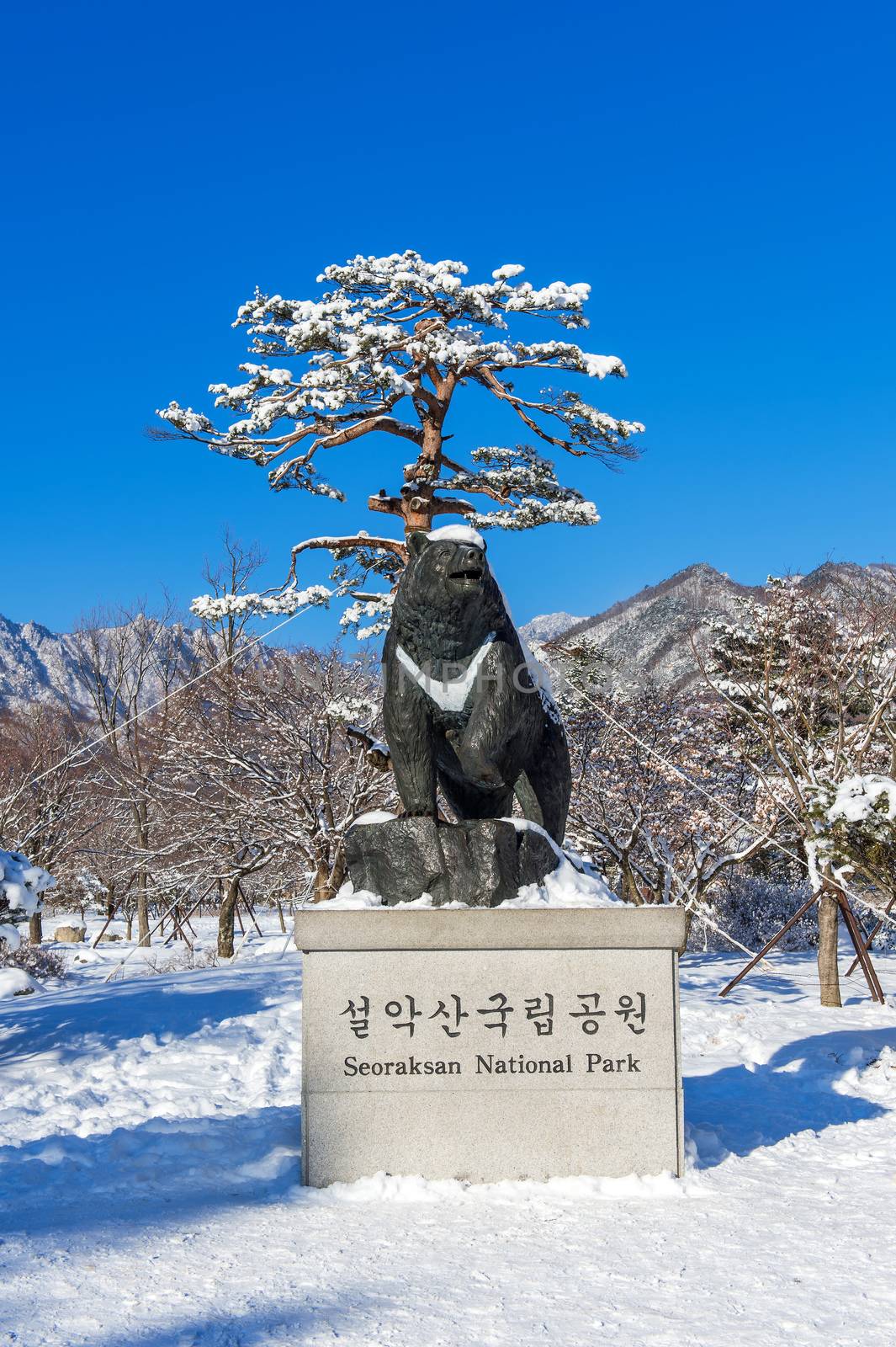 SEORAKSAN, KOREA - FEBRUARY 7: Seoraksan National Park in winter Location on Gangwon, South Korea on February 7, 2016.
