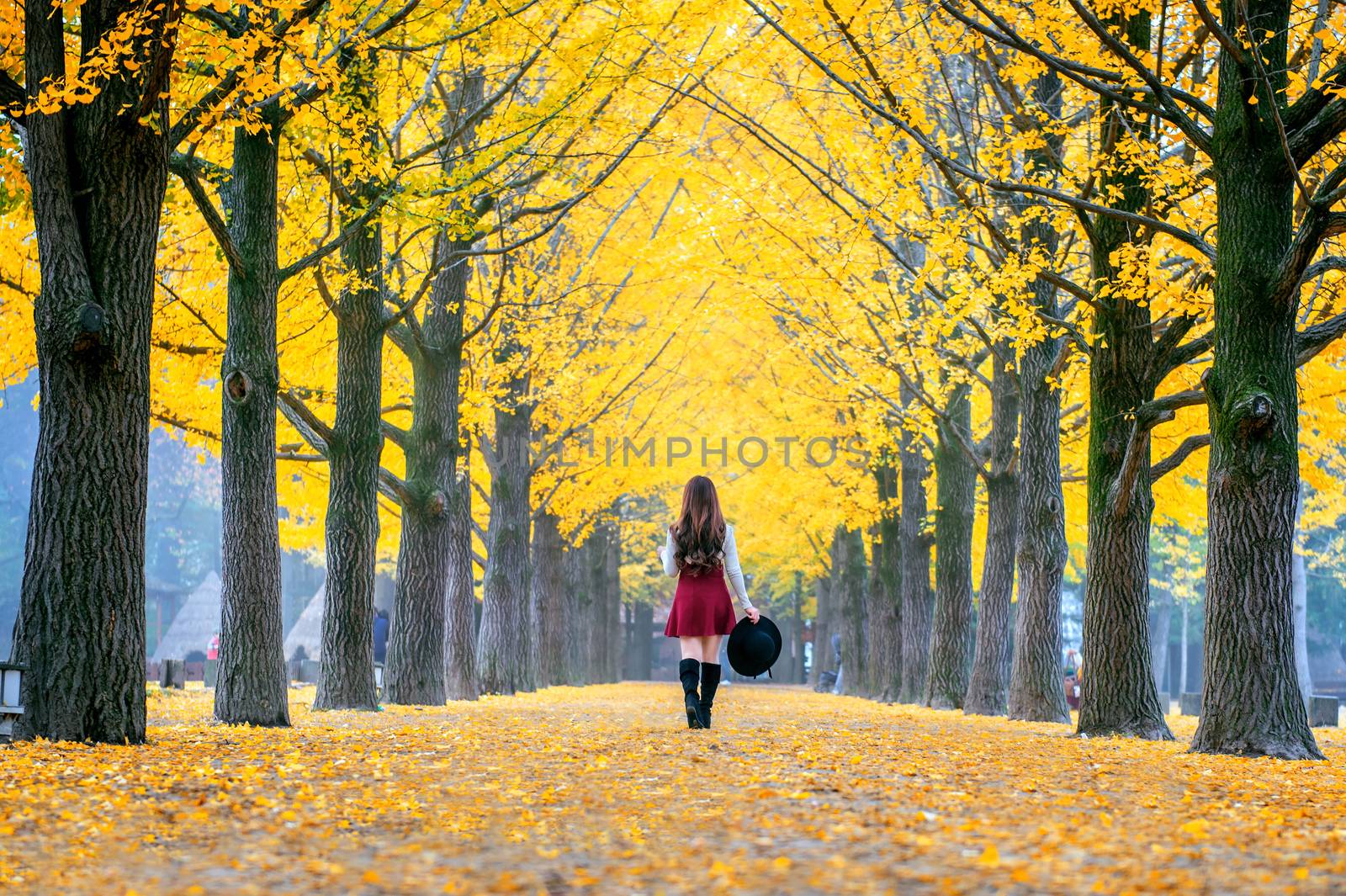 Beautiful Girl with Yellow Leaves in Nami Island, Korea by gutarphotoghaphy