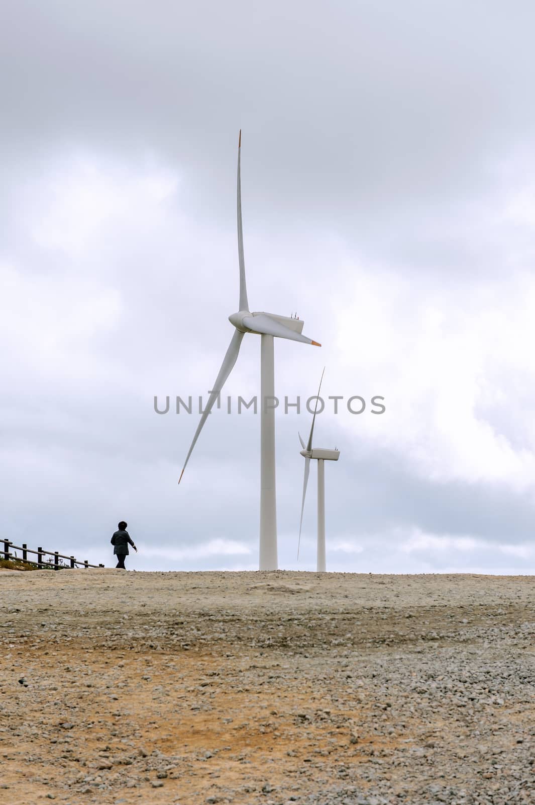 Wind turbines generating electricity.Eco Green Campus in South Korea. (Daegwallyeong Samyang Ranch) by gutarphotoghaphy