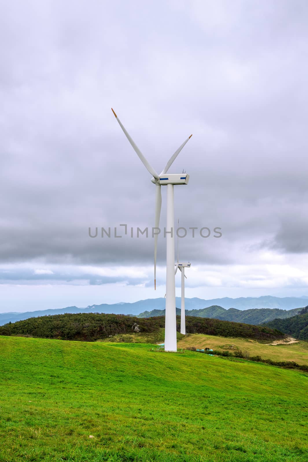 Wind turbines generating electricity.Eco Green Campus in South Korea. (Daegwallyeong Samyang Ranch) by gutarphotoghaphy