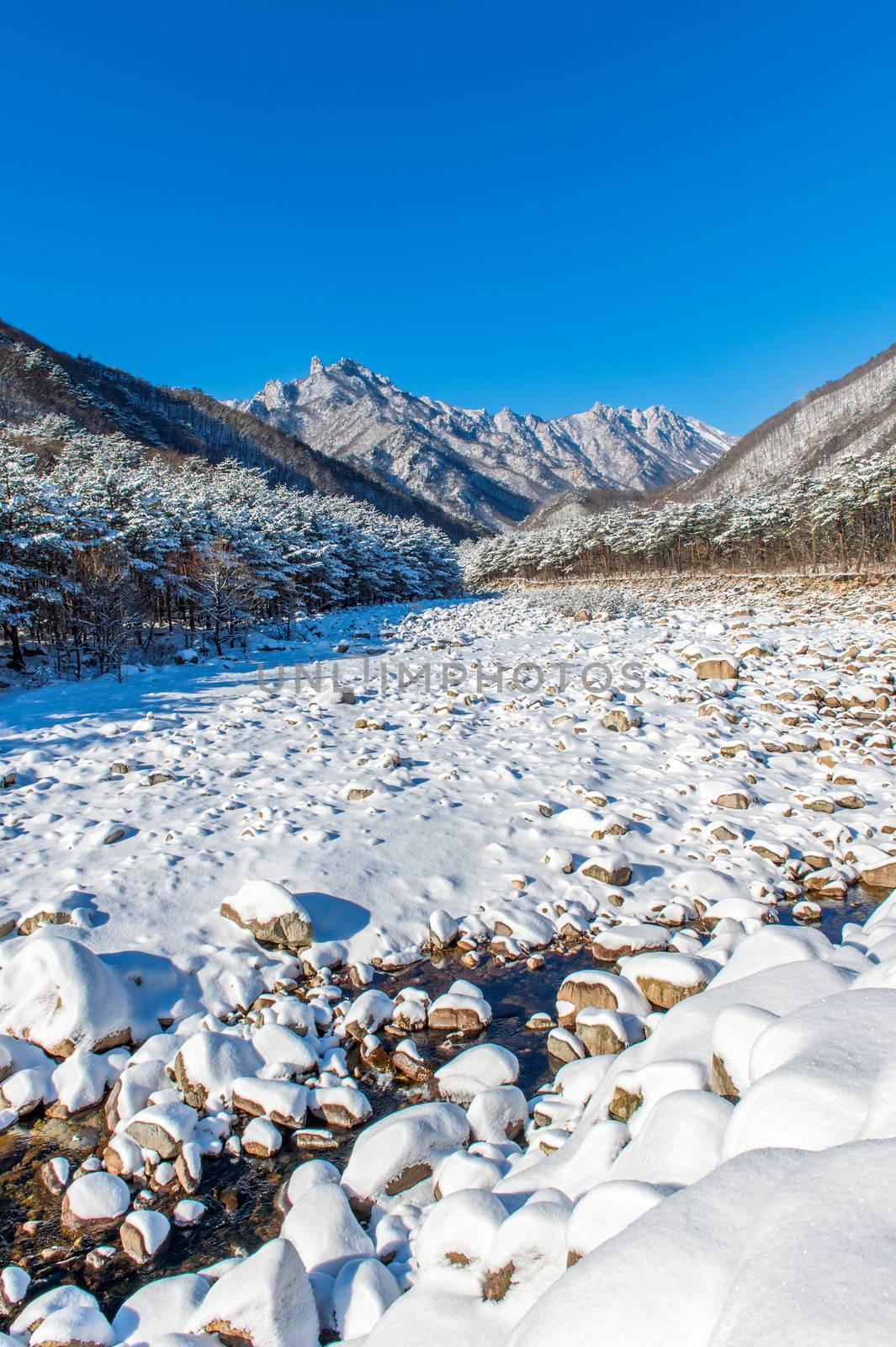 Seoraksan mountains is covered by snow in winter, South Korea. by gutarphotoghaphy