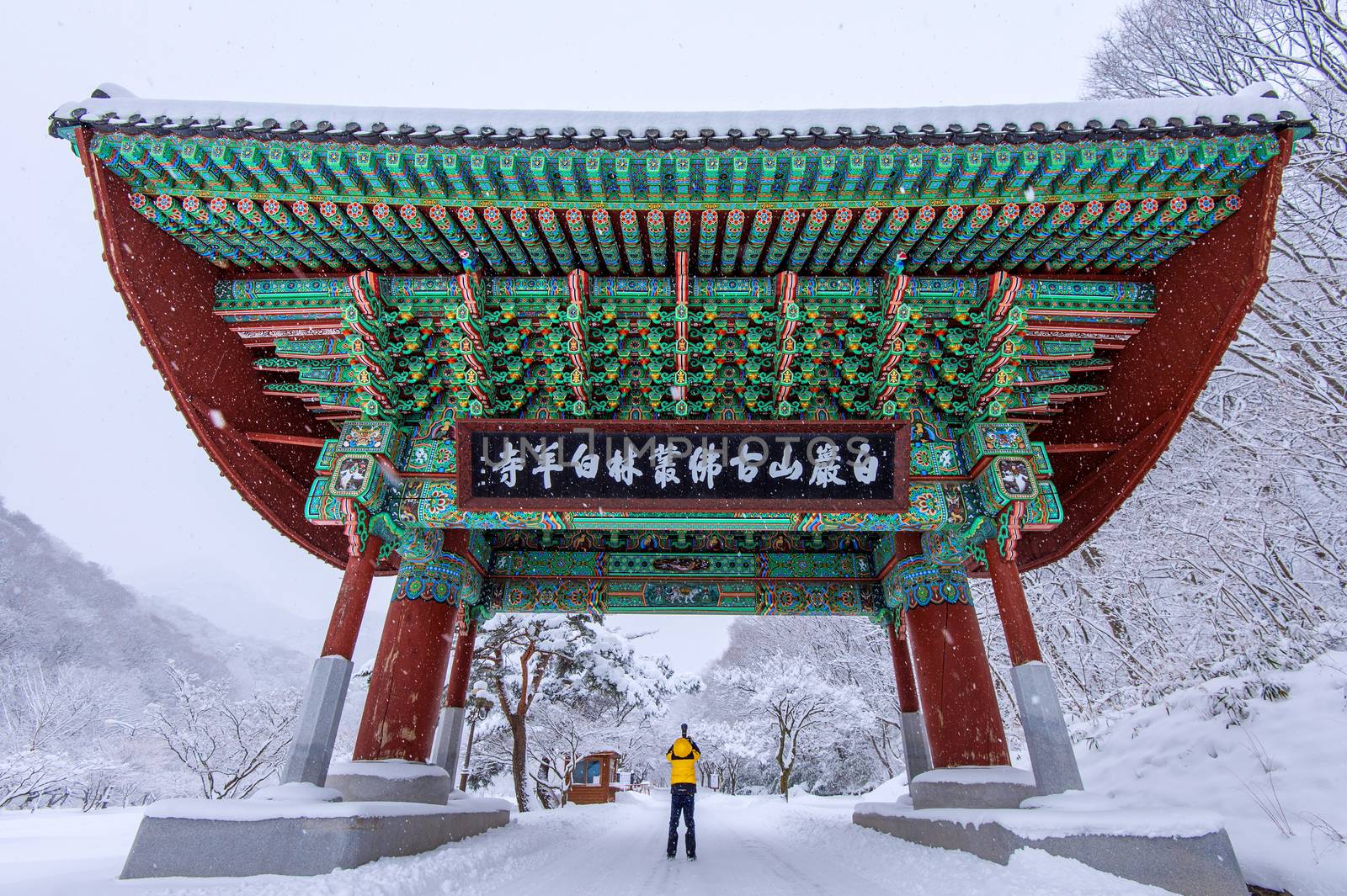 Professional photographer takes photos with camera at gate of Baekyangsa Temple and falling snow, Naejangsan Mountain in winter,South Korea.Winter landscape.