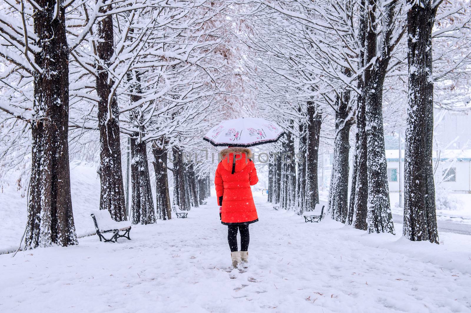 Girl with umbrella walking on the path and row trees. Winter. by gutarphotoghaphy