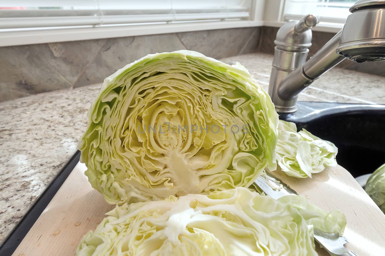 Cross Section of Headed Cabbage Closeup by jpldesigns