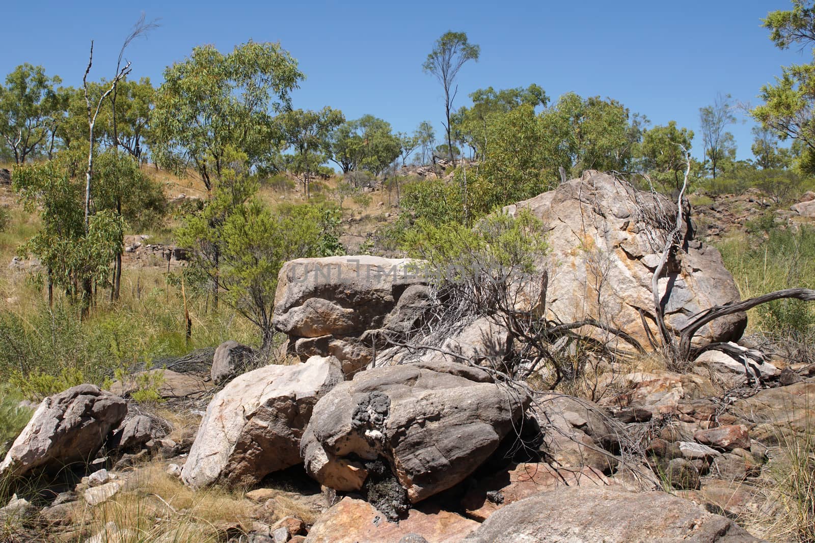 Landscape of the Nitmiluk National Park, Australia