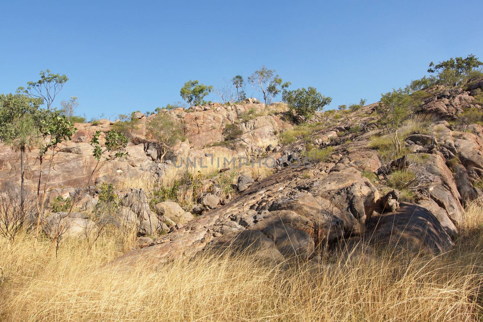 Landscape of the Nitmiluk National Park, Australia