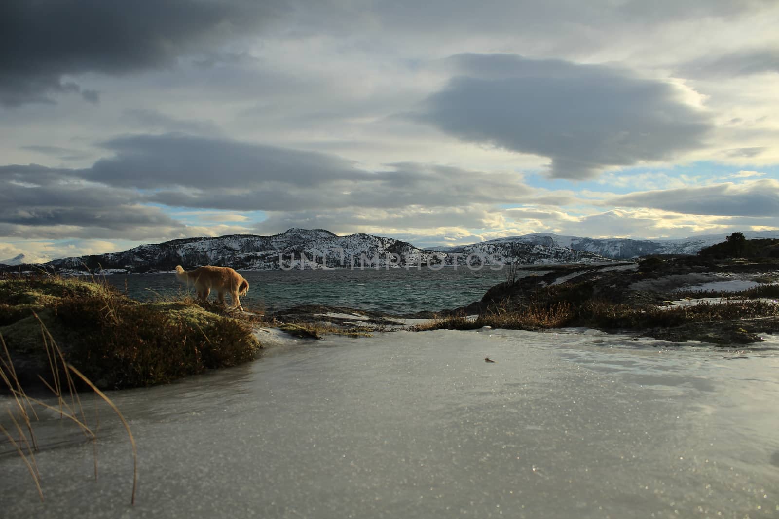 Nature, Mountains, Landscapes