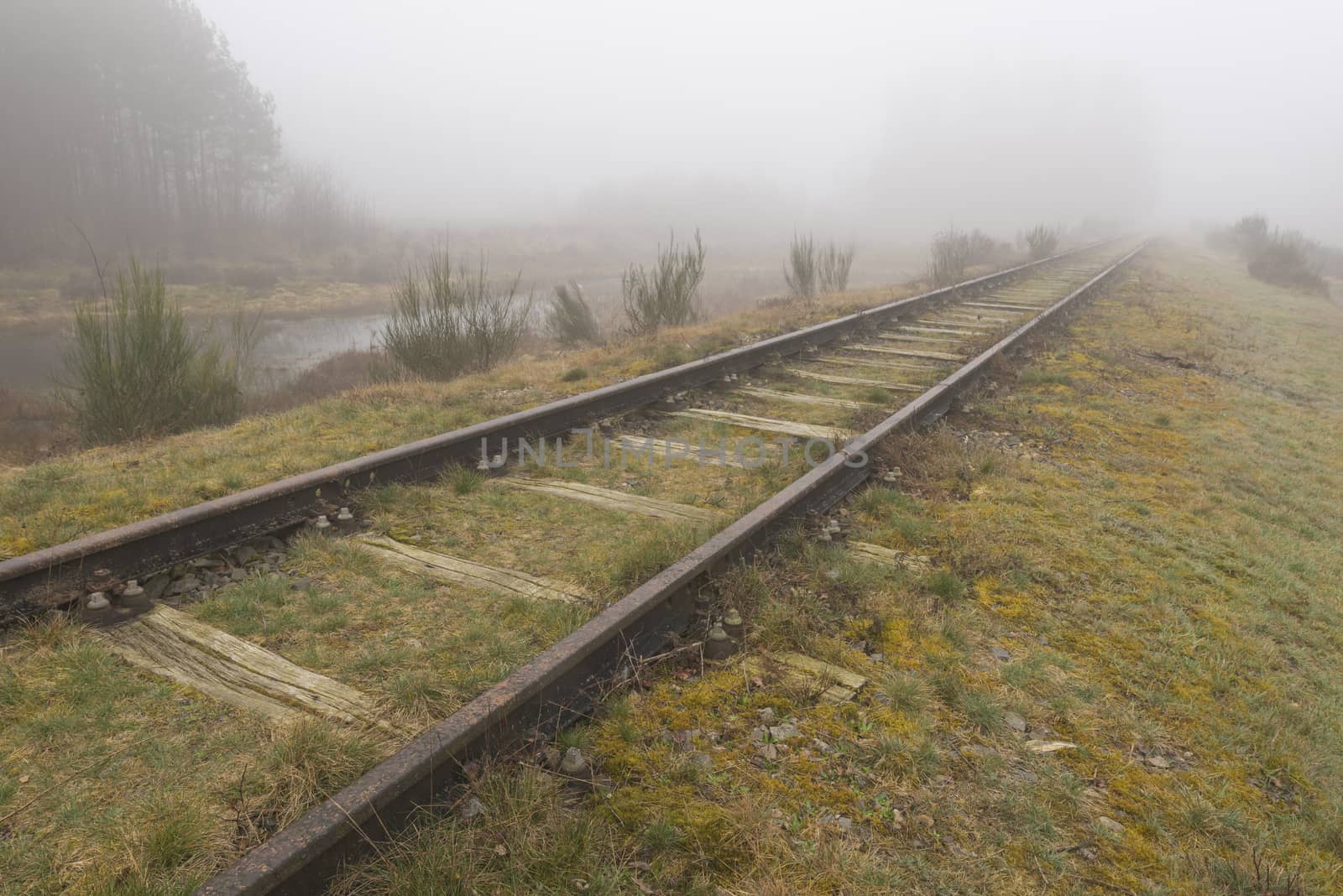 Old railway line Borkense Course in the Netherlands
 by Tofotografie