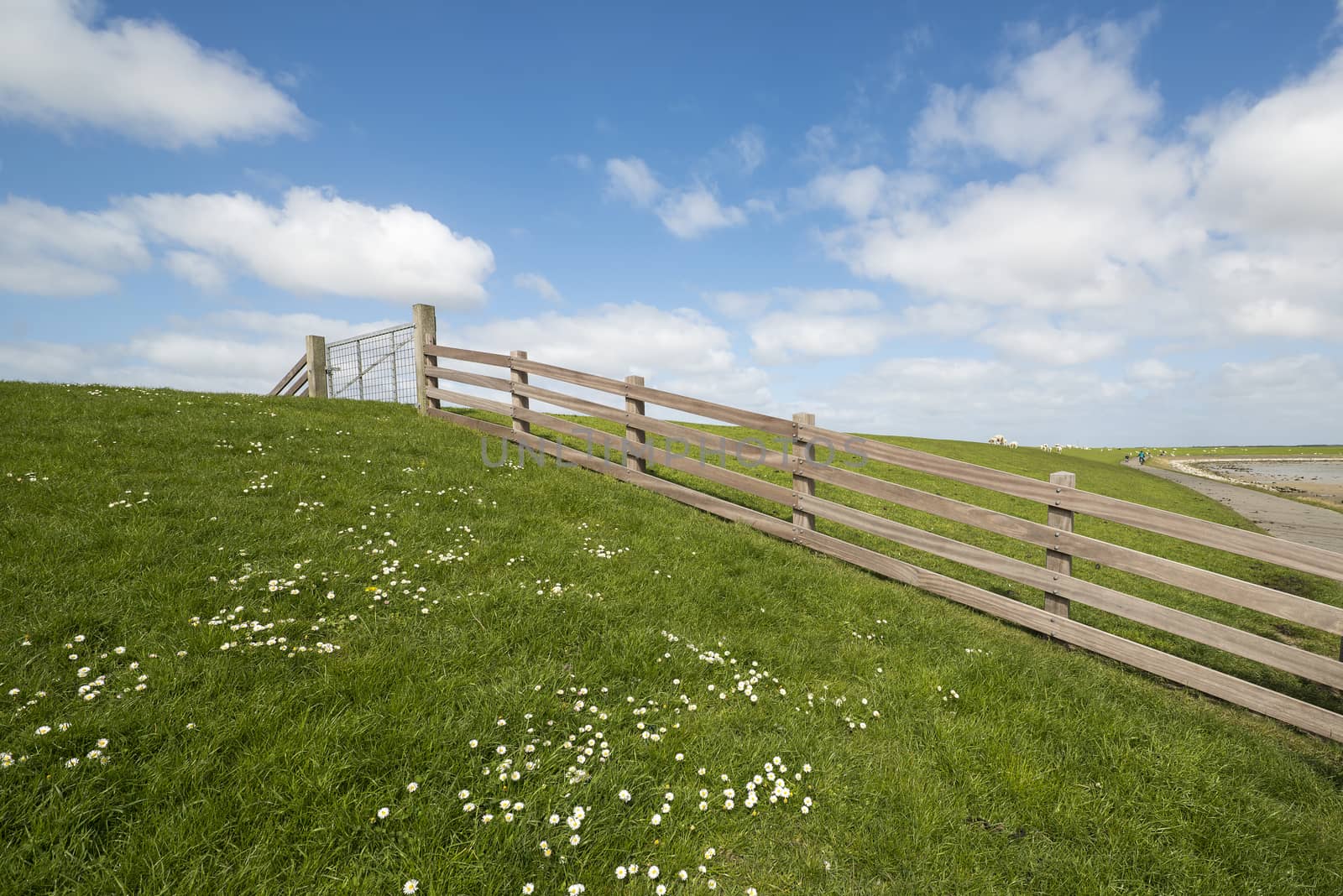 Waddendyke with wooden fence on the island of Terschelling in th by Tofotografie