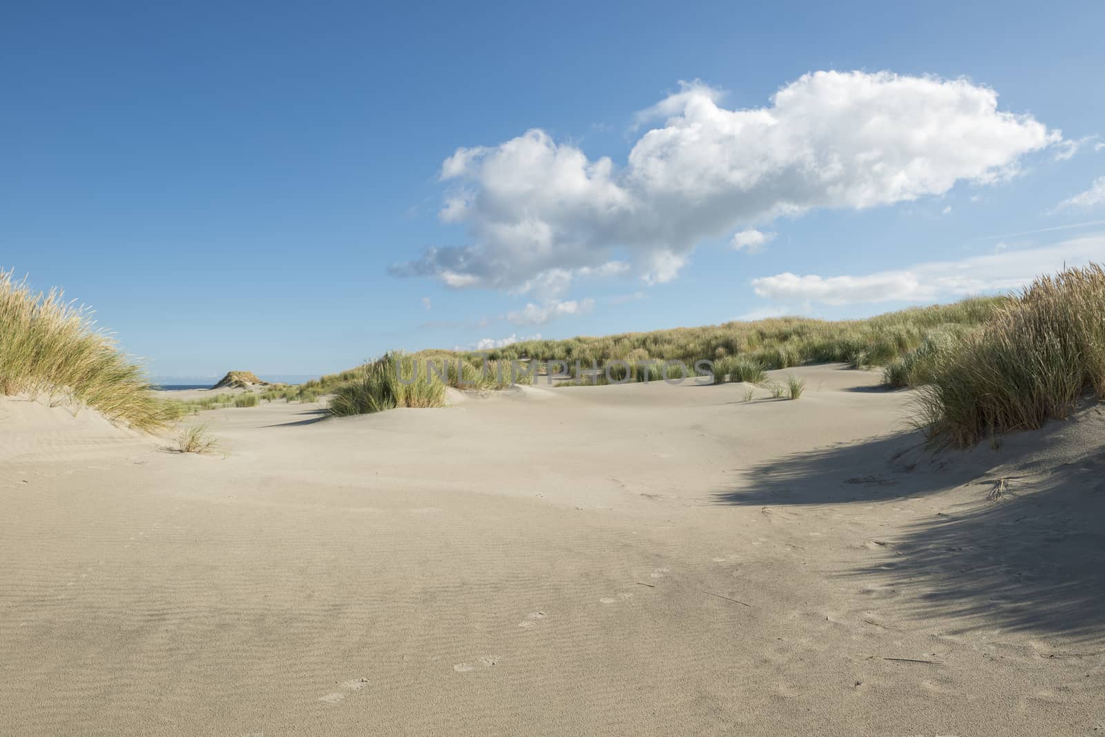 Traces in the dunes
 by Tofotografie