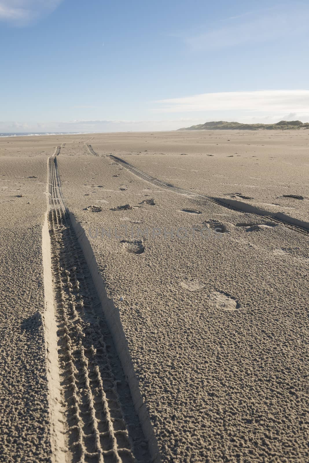 Traces in the North Sea Beach of Terschelling
